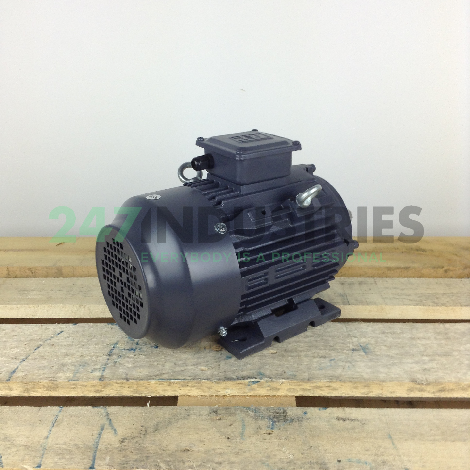 T2CR100L2-4B3 TEC Electric Motors Image 3