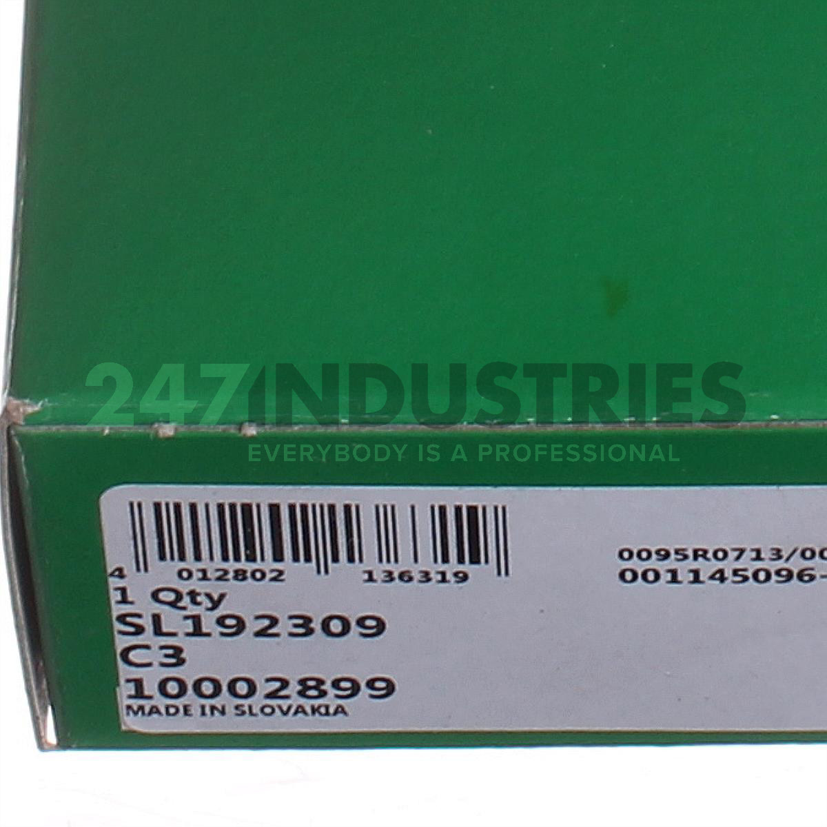 SL192309-C3 INA Image 4