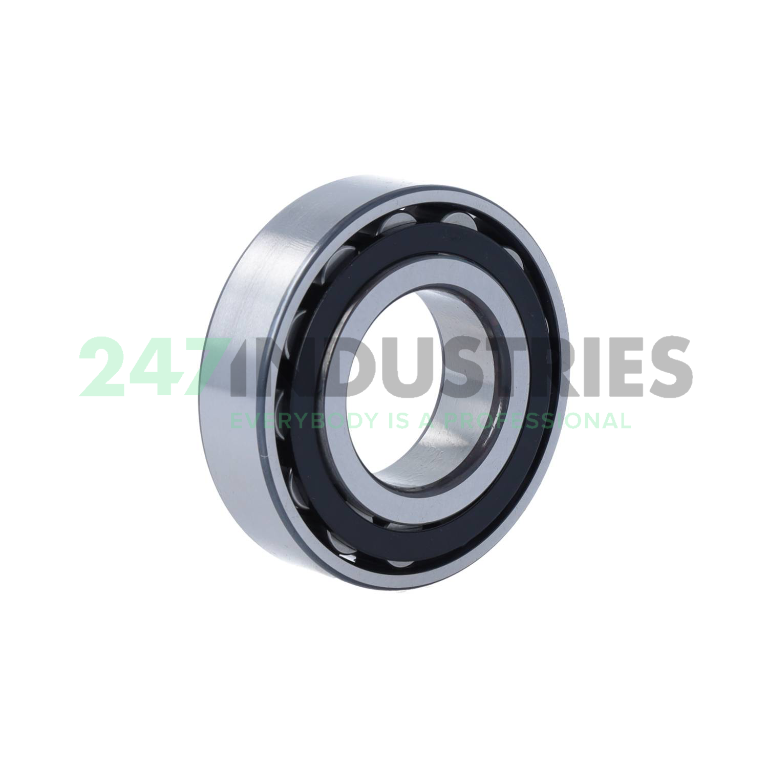 N206-E-XL-TVP2-C3 FAG Image 2