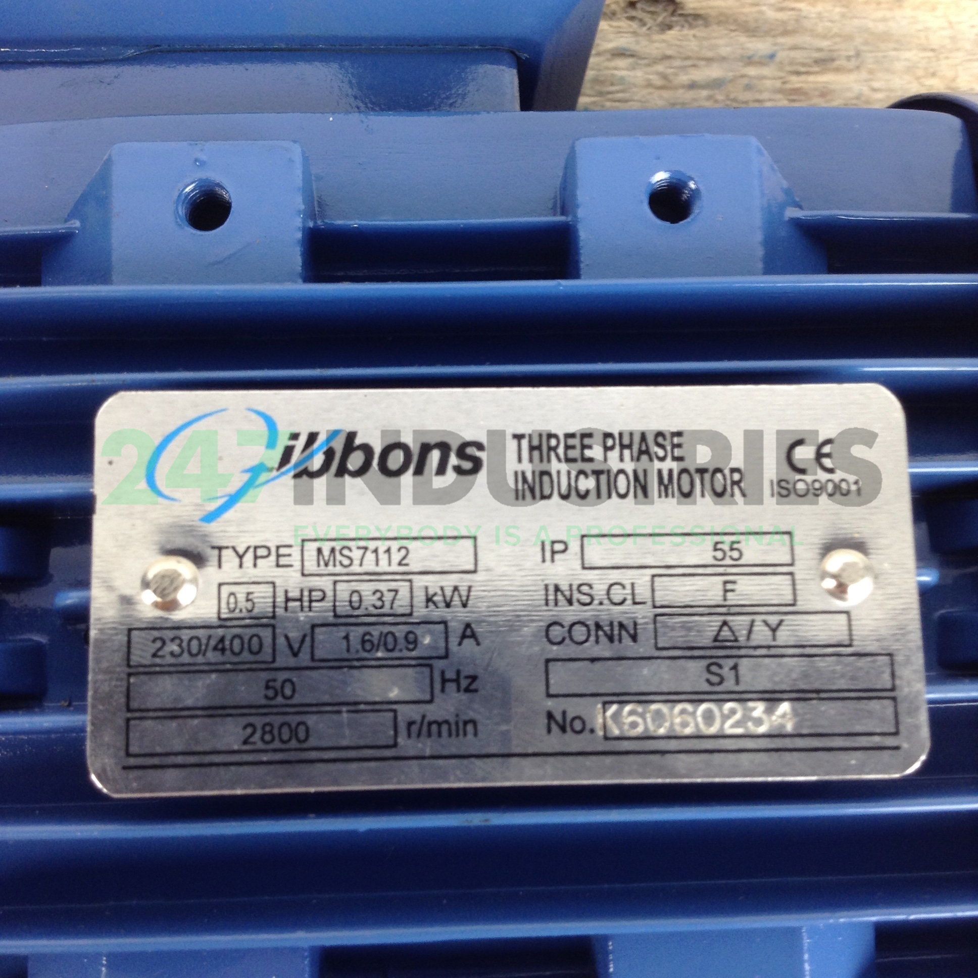 MS7112B35 Gibbons Image 2