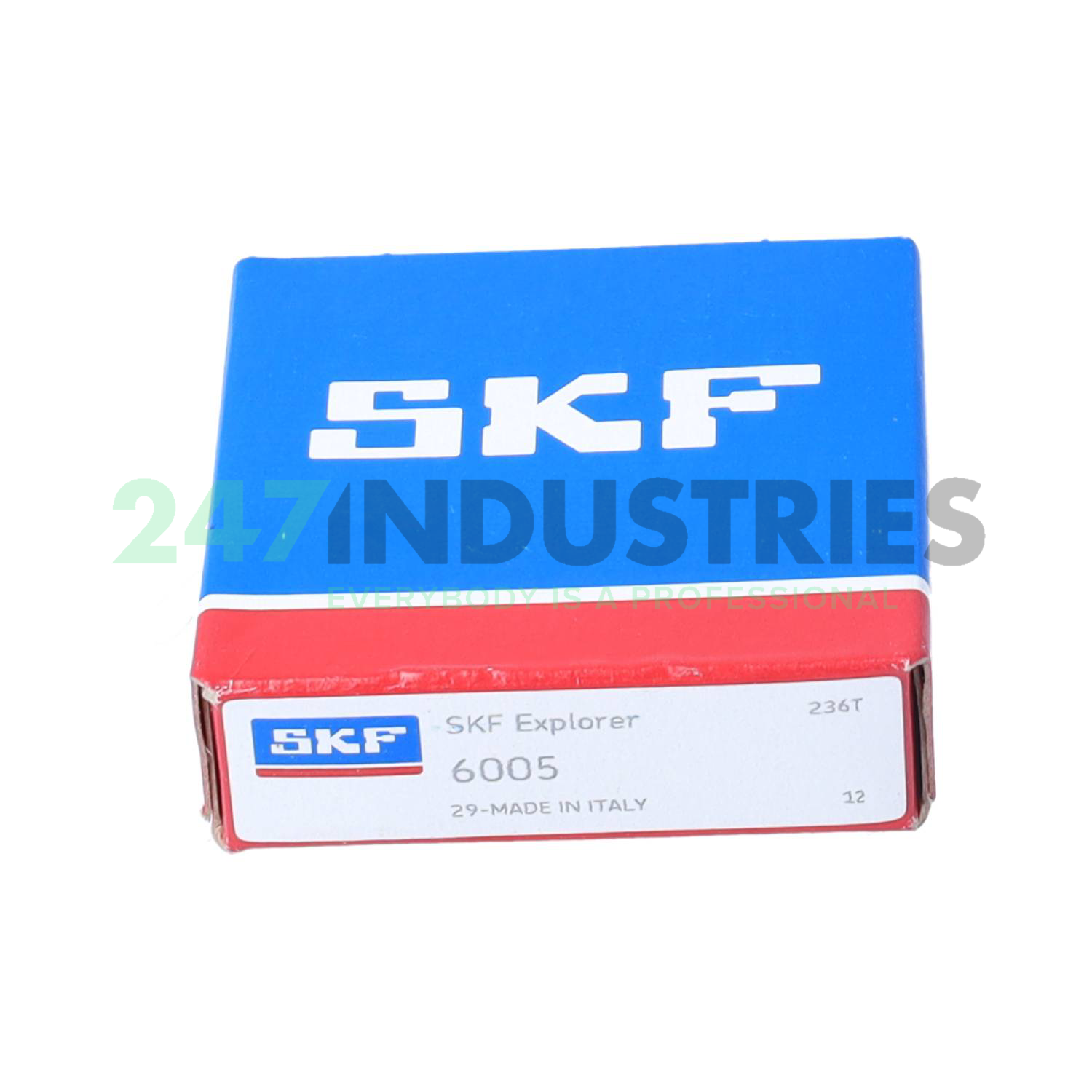 6005 SKF Image 3