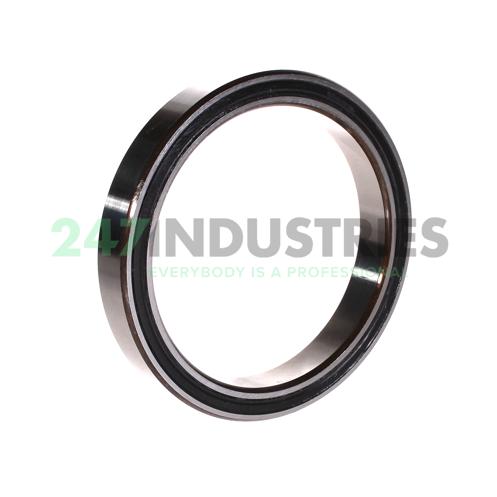 3820-2RS INA Image 2