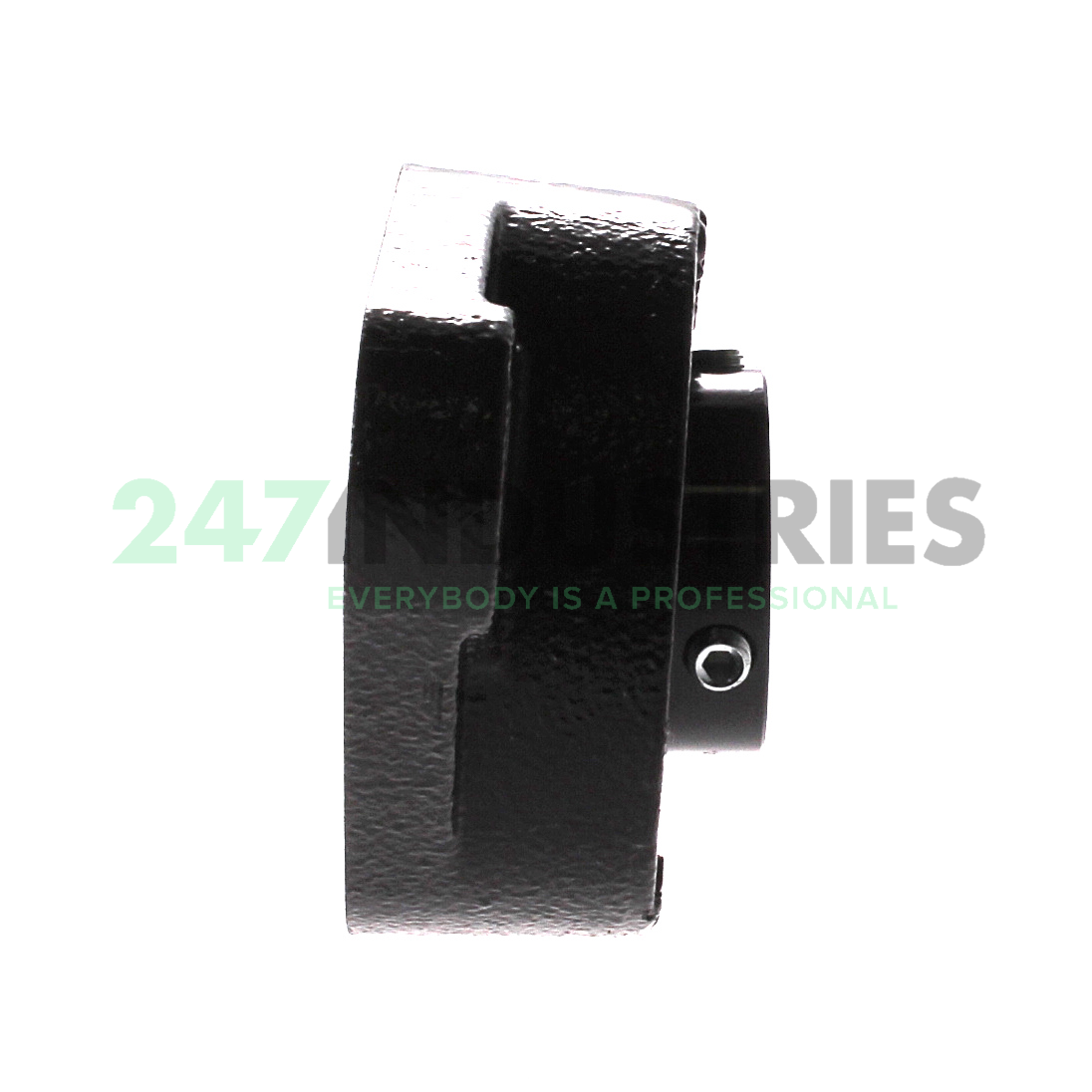 UCFL206-19-J7 FAG Image 2