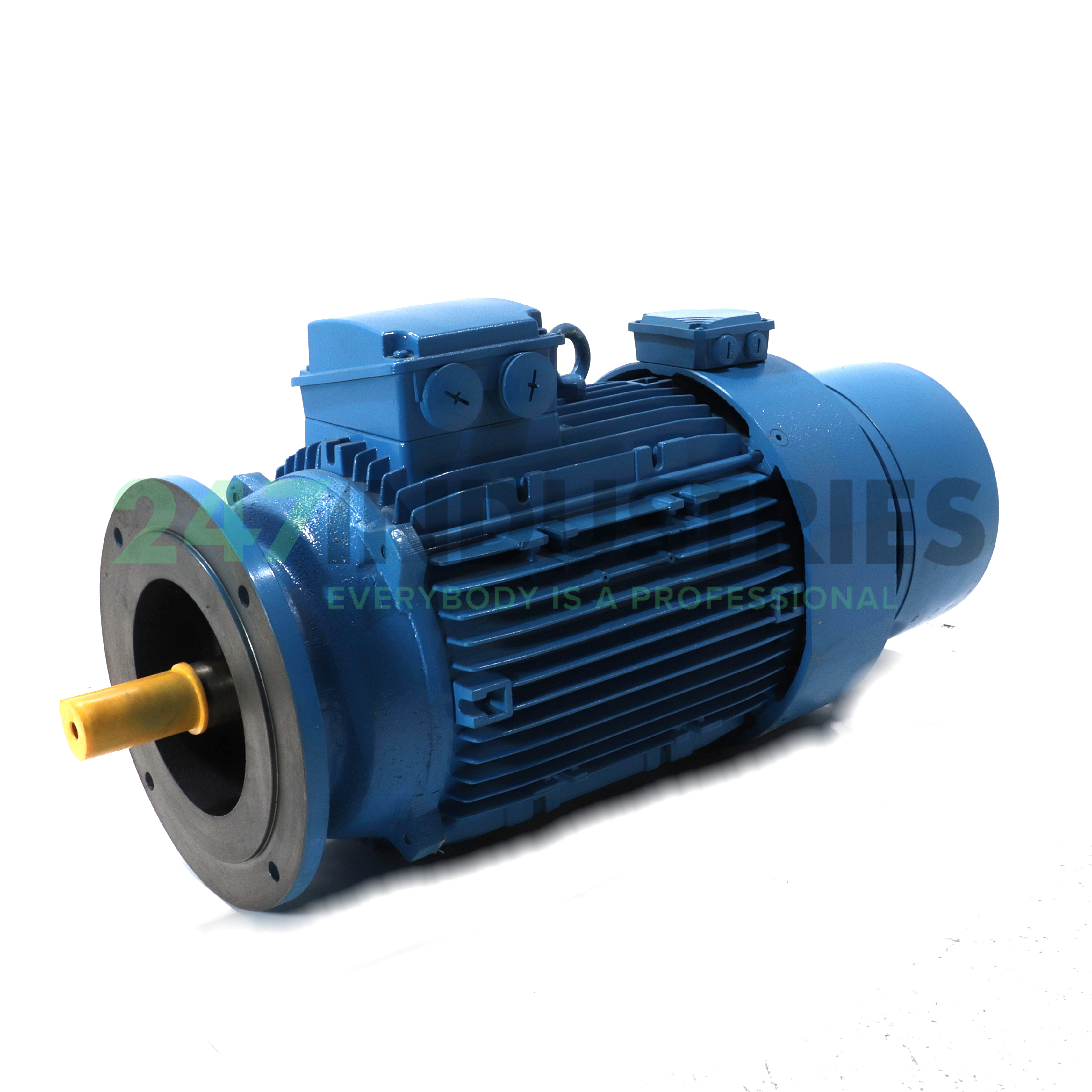 AMF160L4/16R3B5 Lafert Image 1