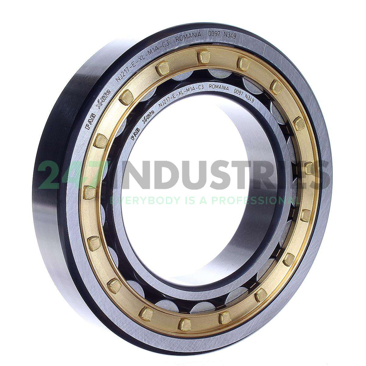 NJ217-E-XL-M1A-C3 FAG