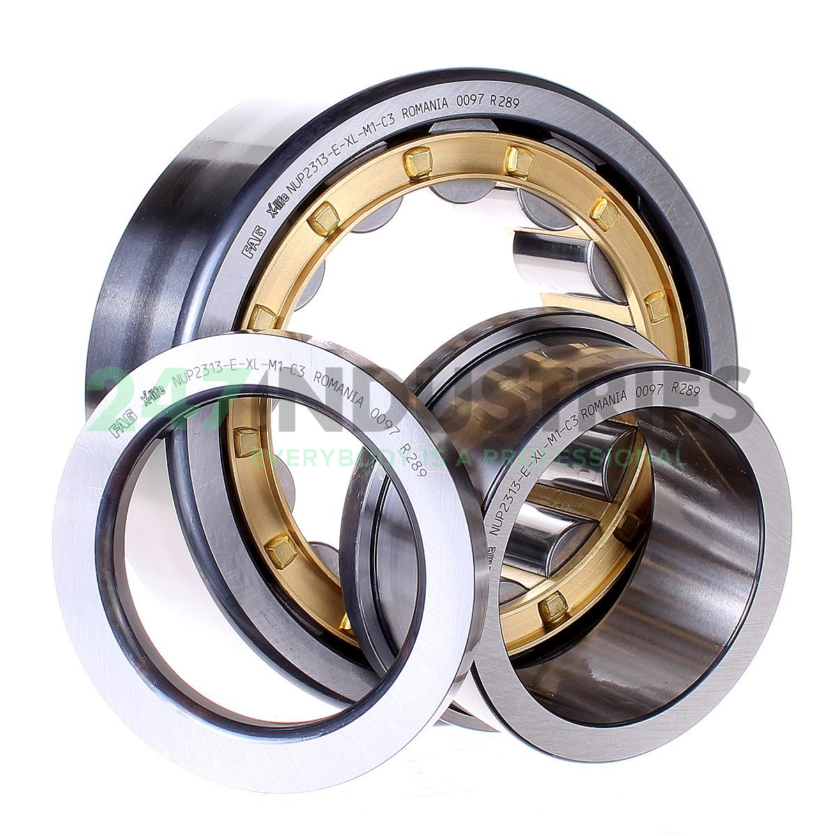 NUP2313-E-XL-M1-C3 FAG Image 3