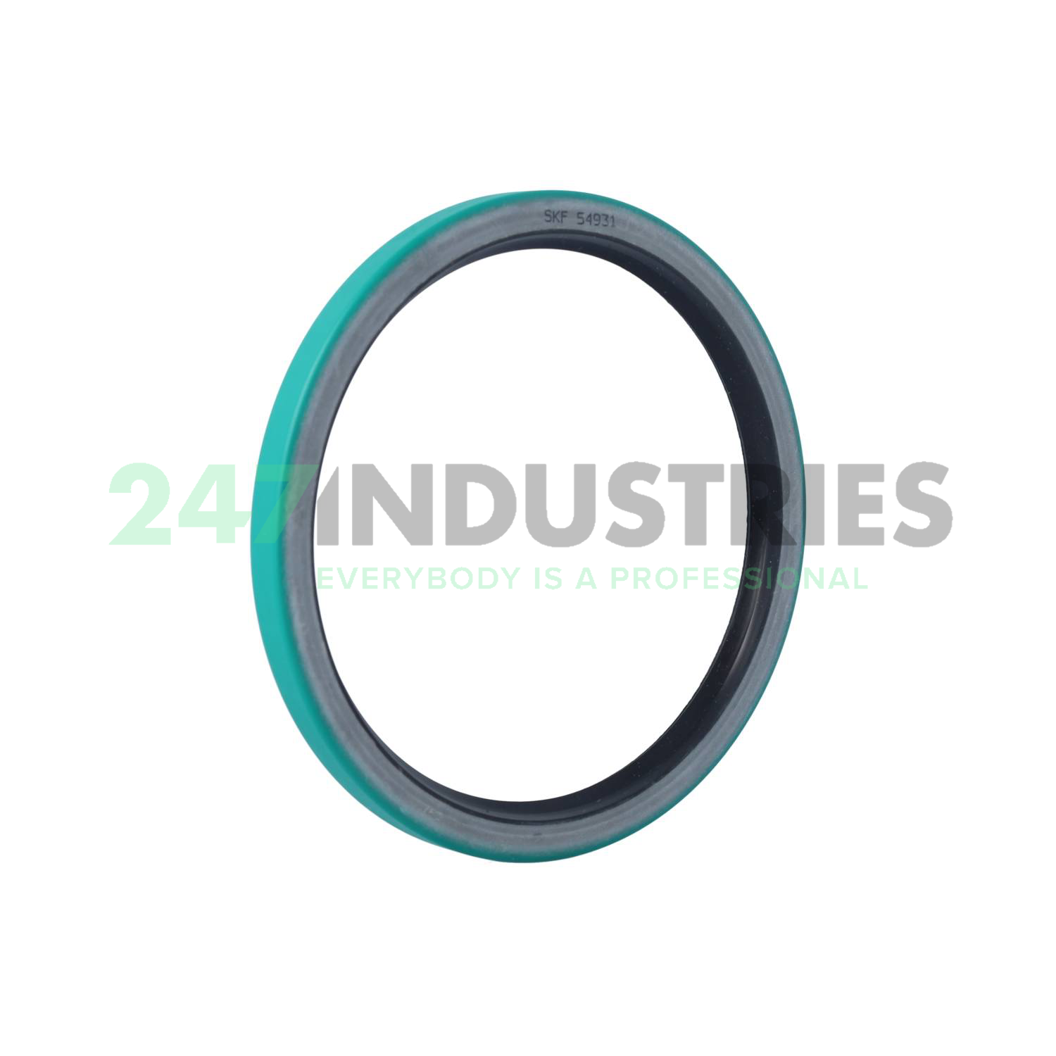 54931 SKF Image 1