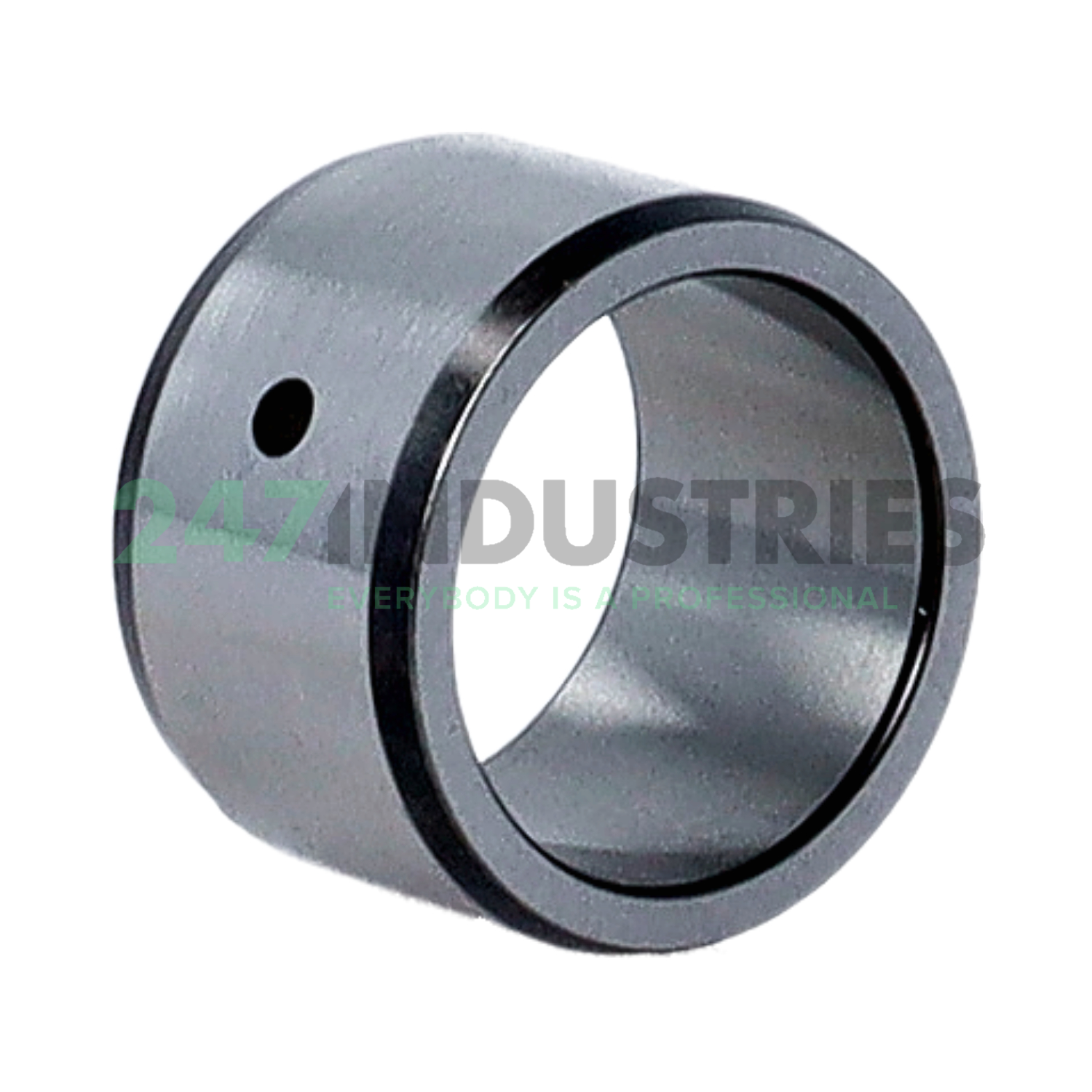 IR20X25X16-IS1-XL INA Image 2