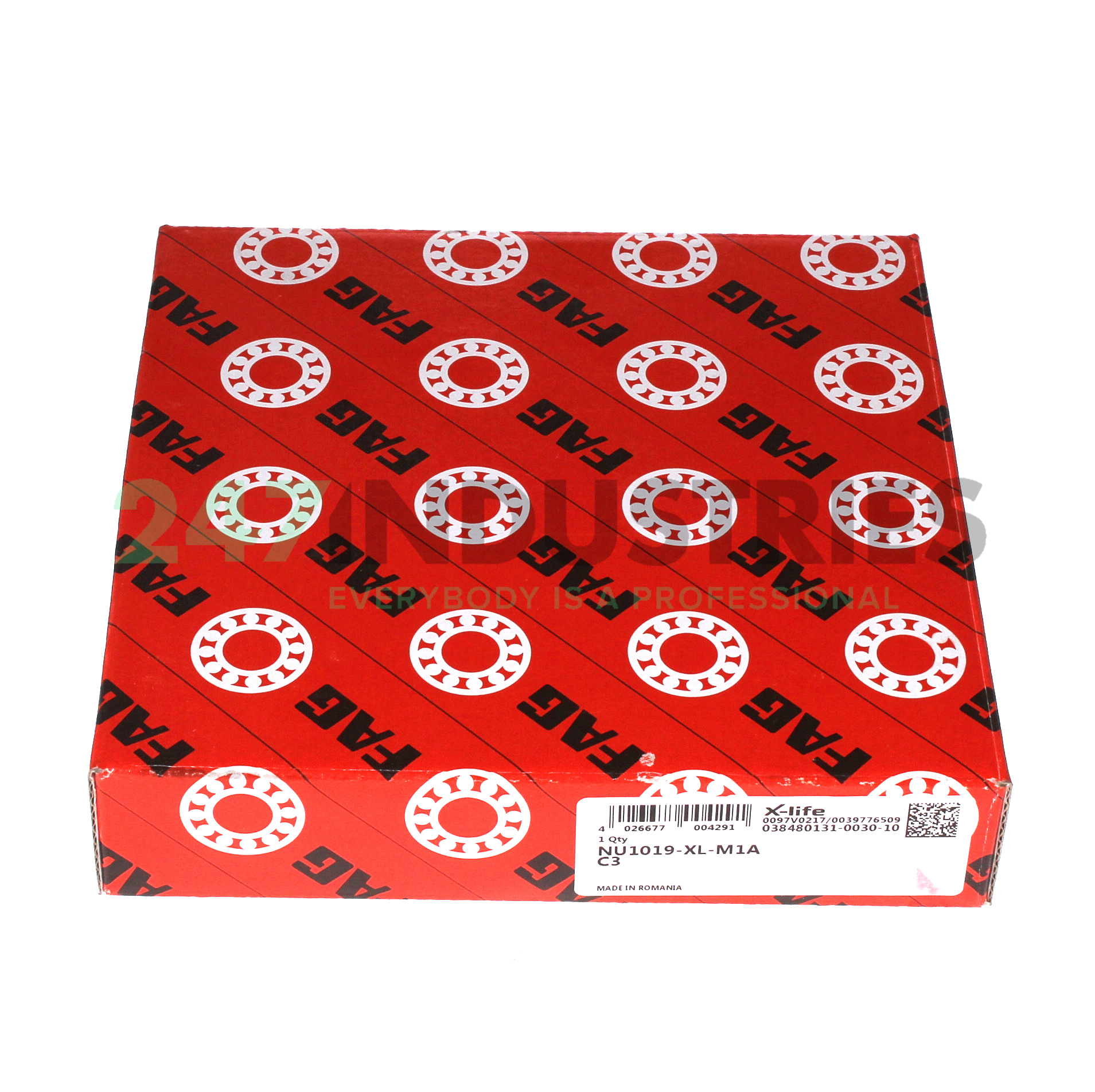 NU1019-XL-M1A-C3 FAG Image 3