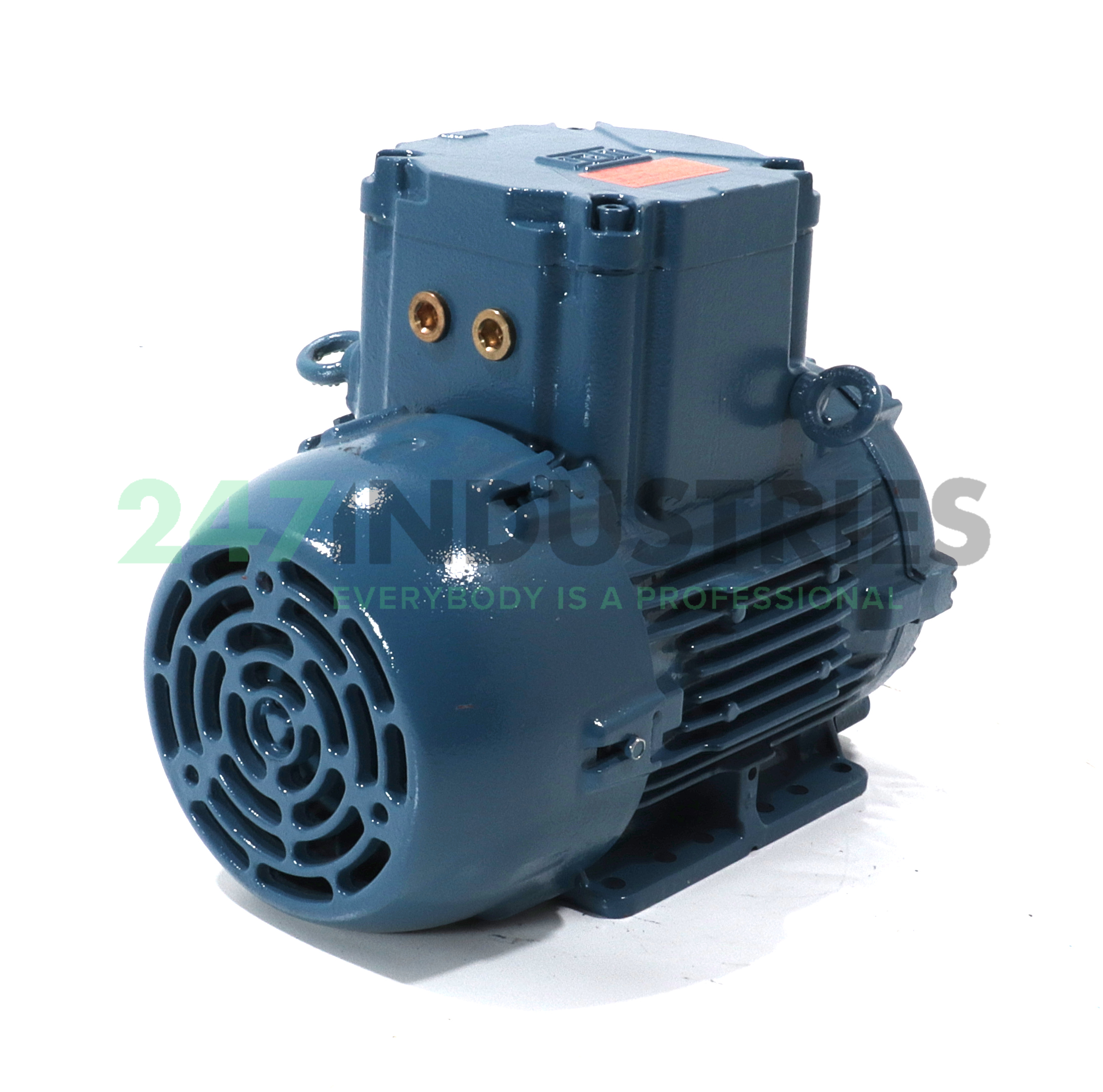 1.1K31CI290S/L6B32G WEG Image 3