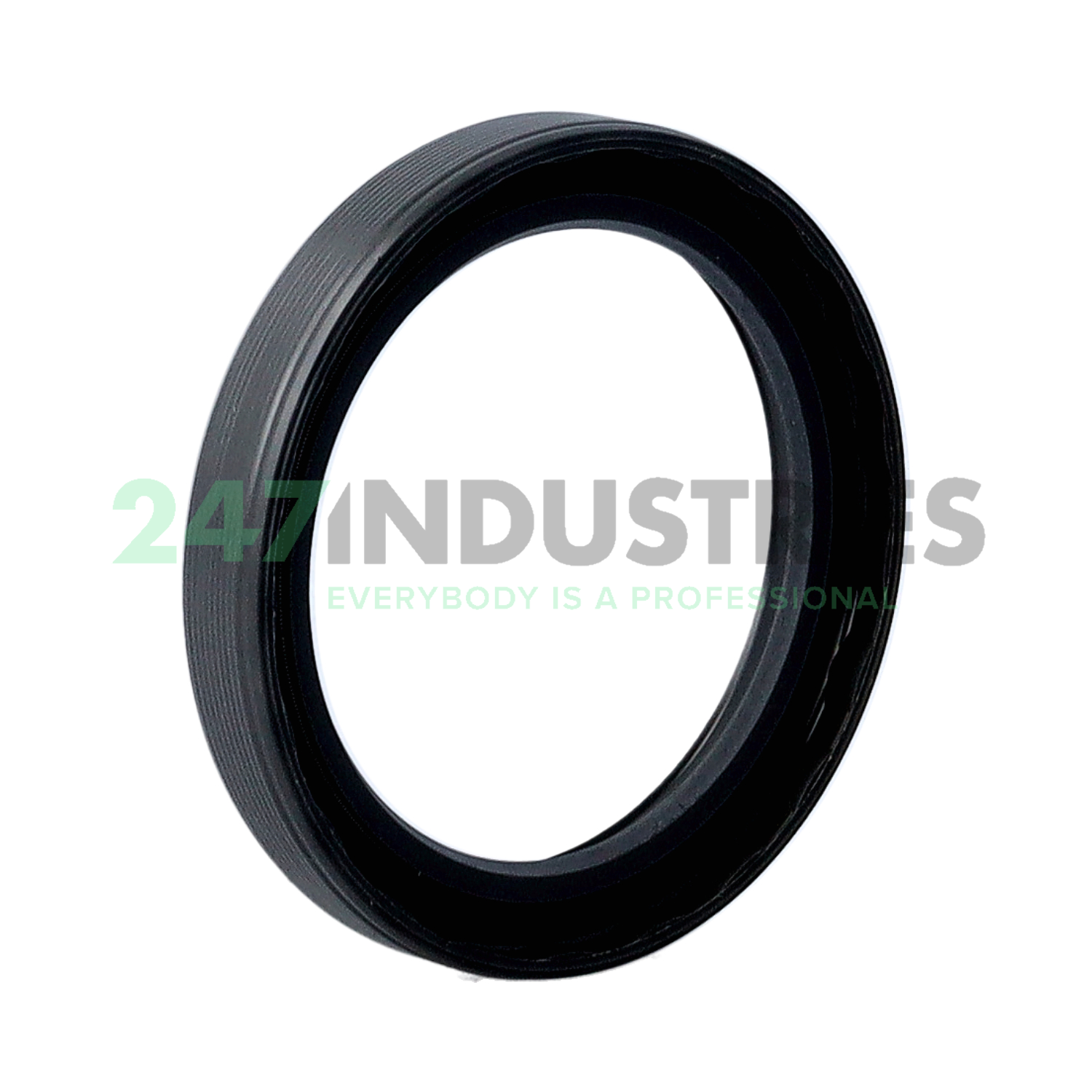 50X65X10HMS5RG SKF Image 2