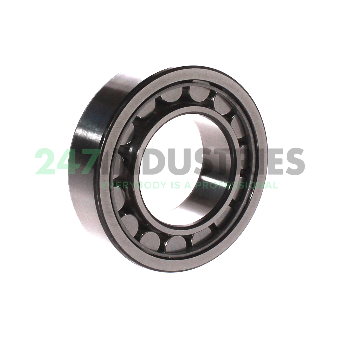 NU2209ECJ SKF Image 3