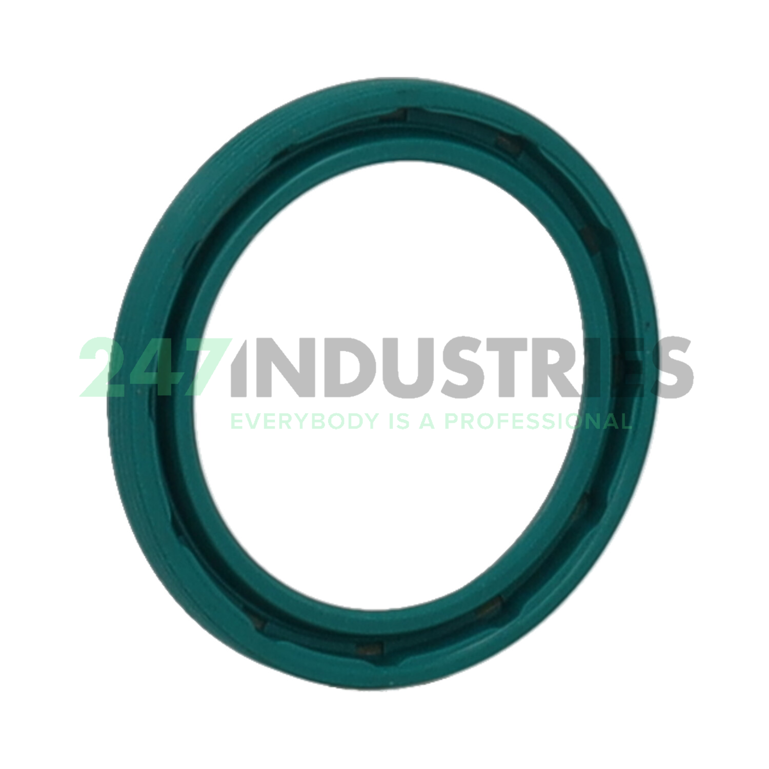 VG29X38X4 NAK Sealing Technologies Image 2