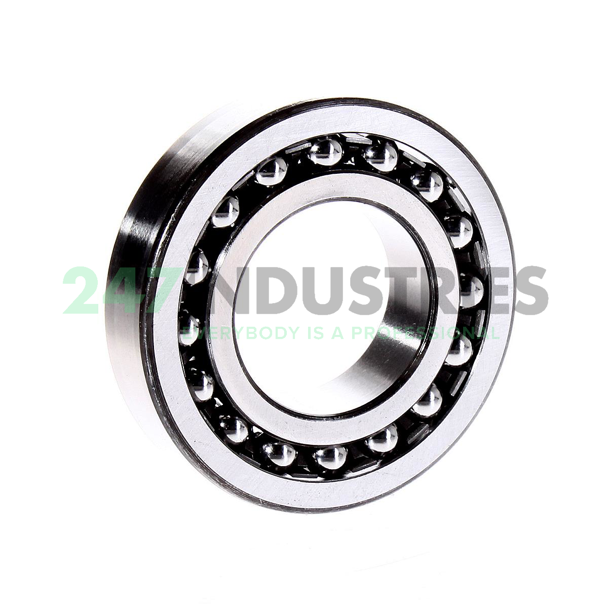 1207K J30 SNR Image 2