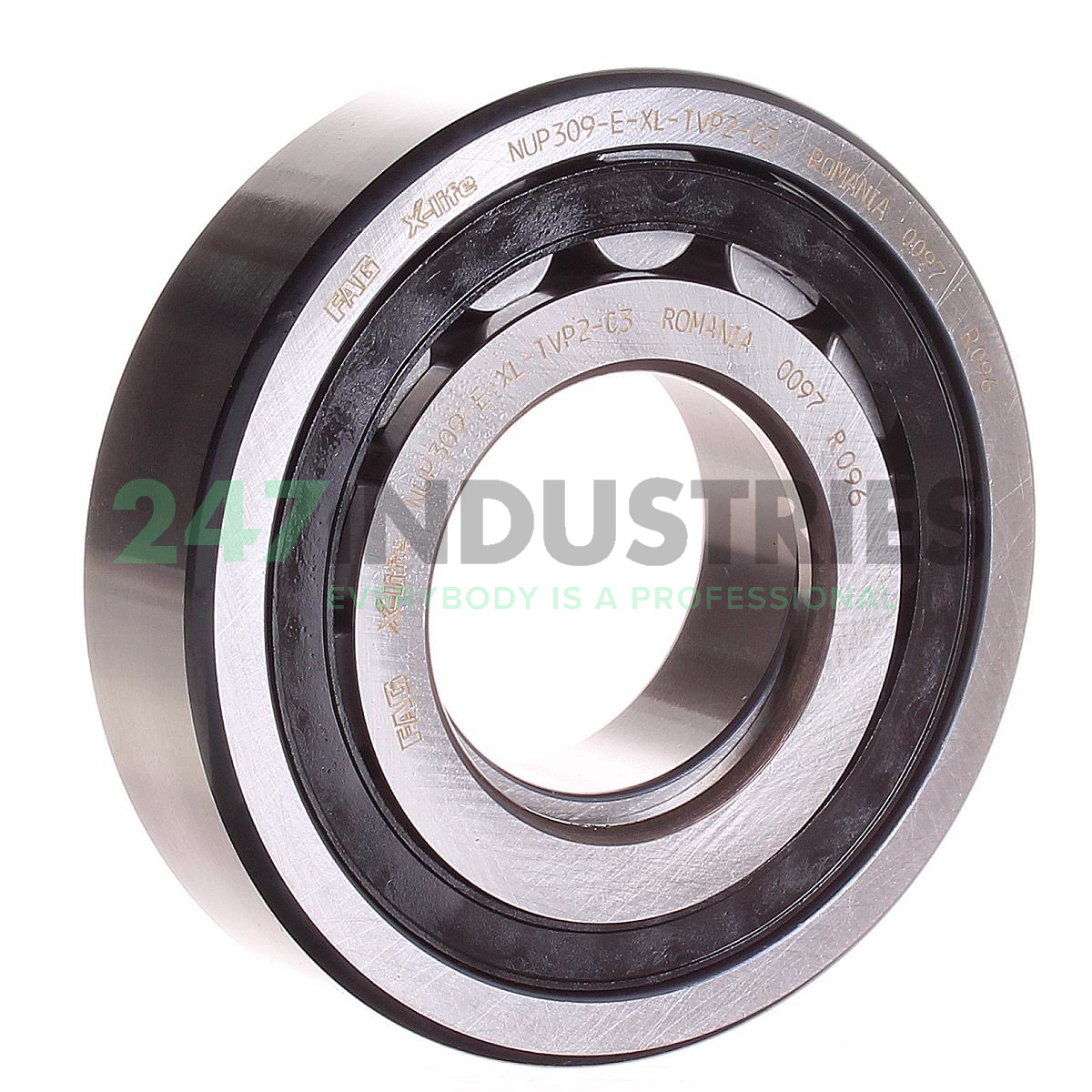 NUP309-E-XL-TVP2-C3 FAG