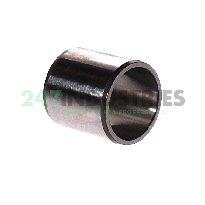 IR25X30X30-IS1-XL INA