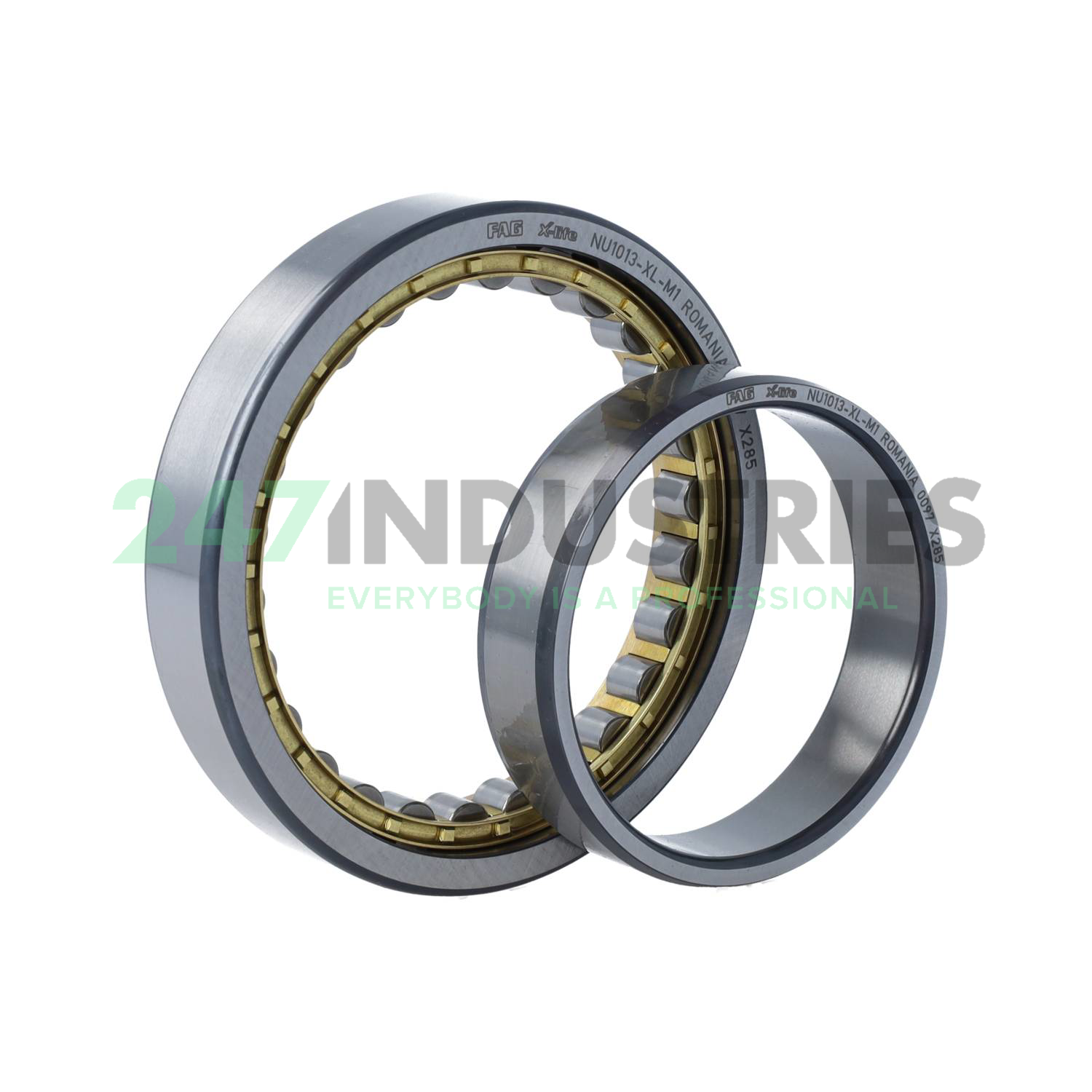NU1013-XL-M1 FAG Image 3