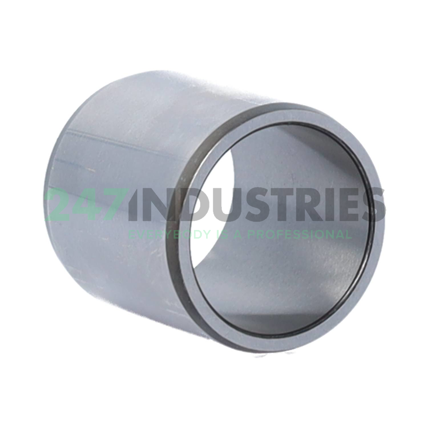 IR25X30X32 SKF