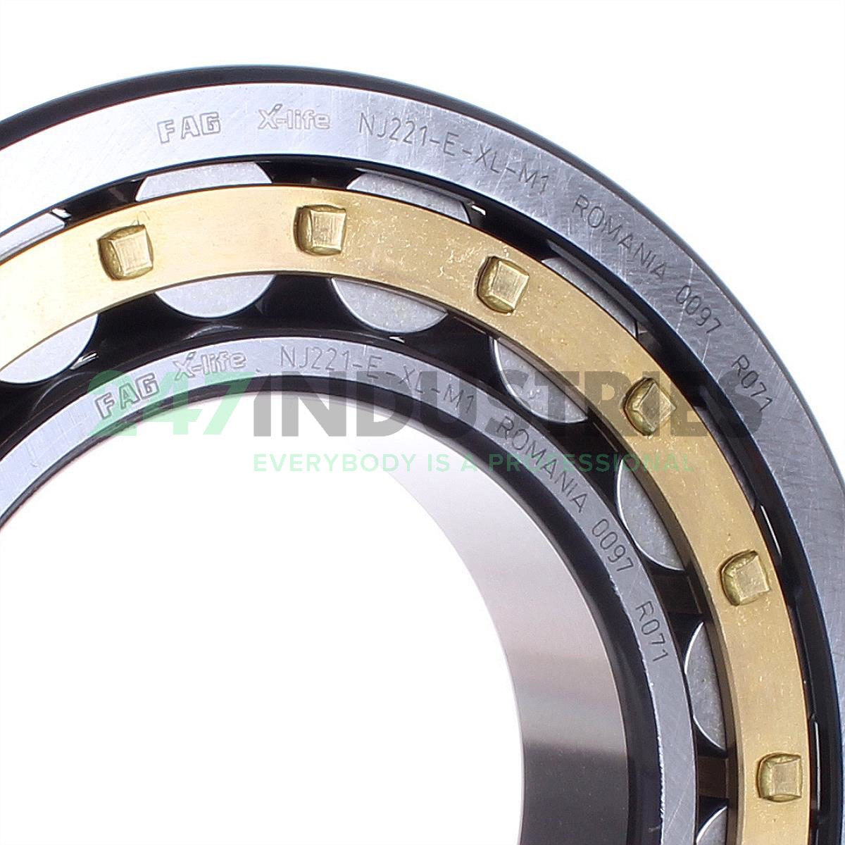 NJ221-E-XL-M1 FAG Image 2