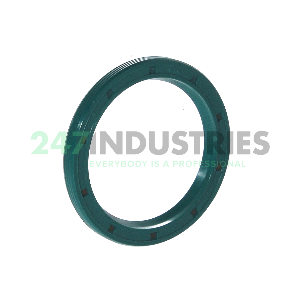 VG40X52X5 NAK Sealing Technologies Image 1