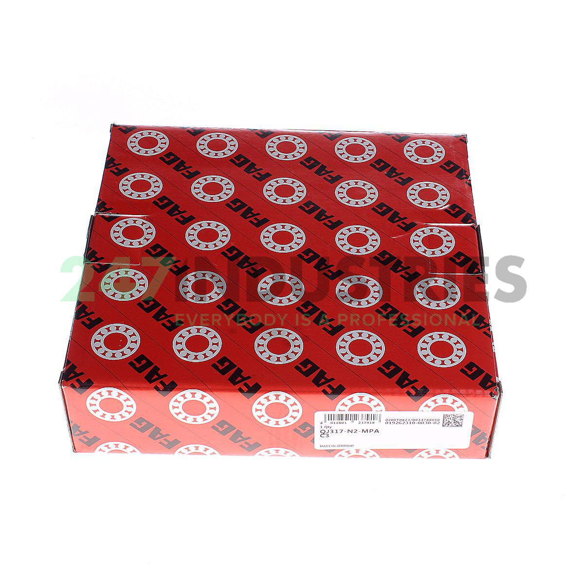 QJ317-N2-MPA-C3 FAG Image 2