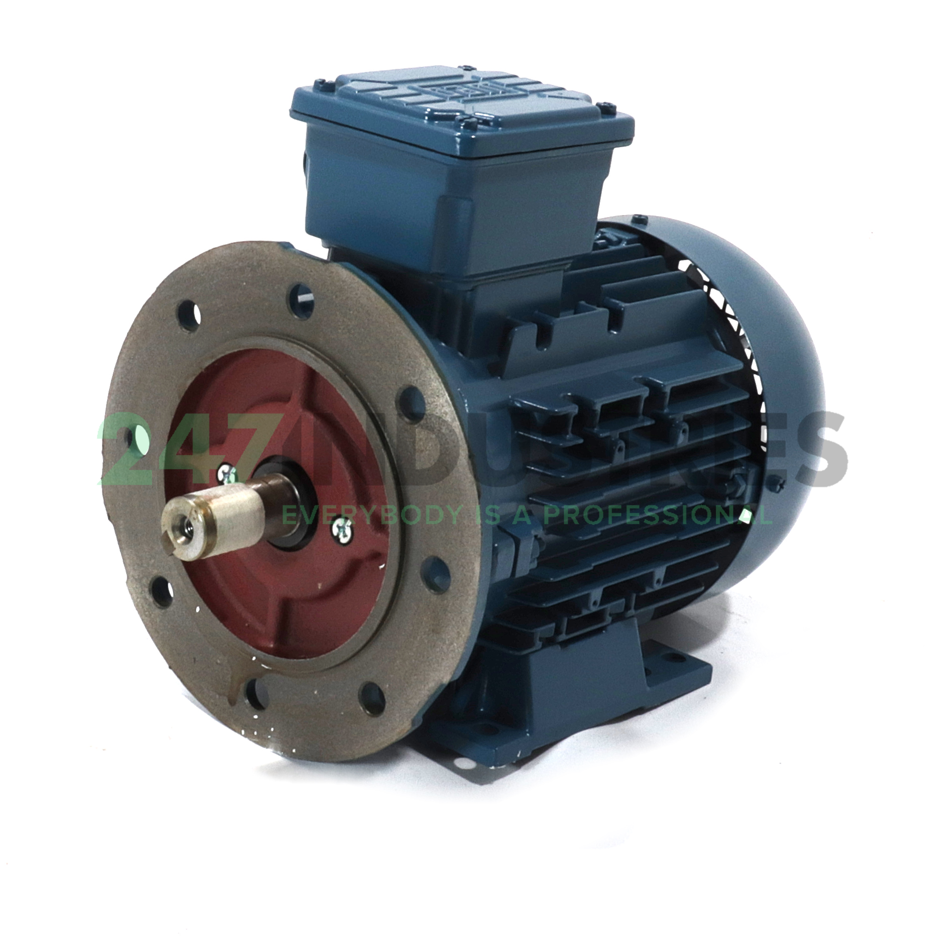 1.1K31AL290S/L4B35 WEG