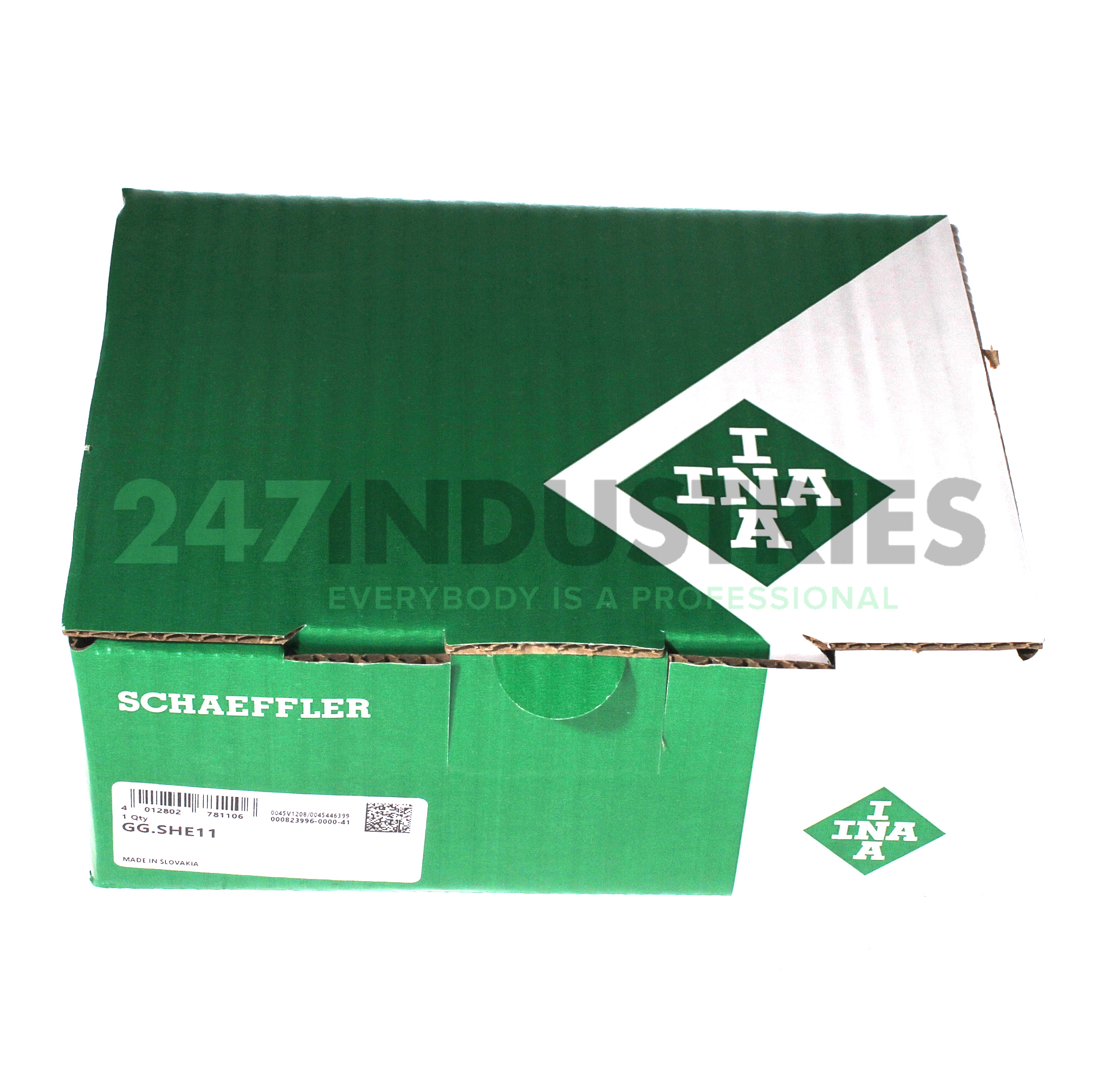 GG.SHE11 INA Image 4