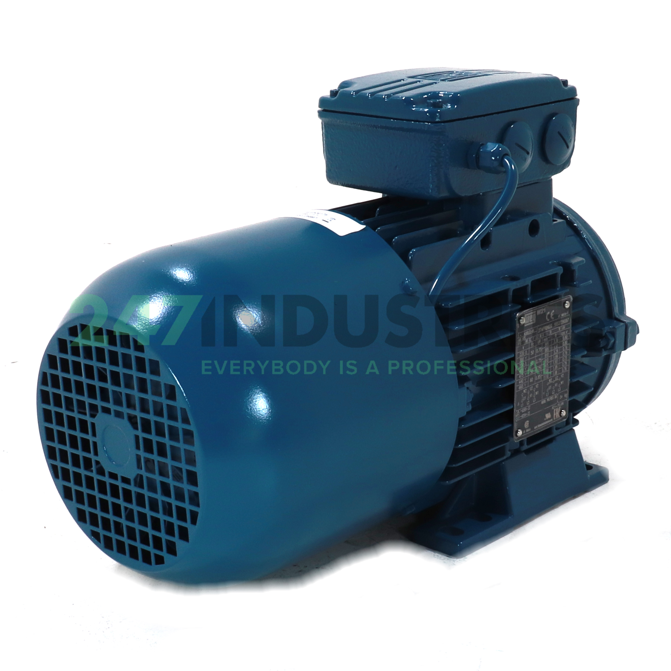 0.75K31AL190S/L6B3 WEG Image 3