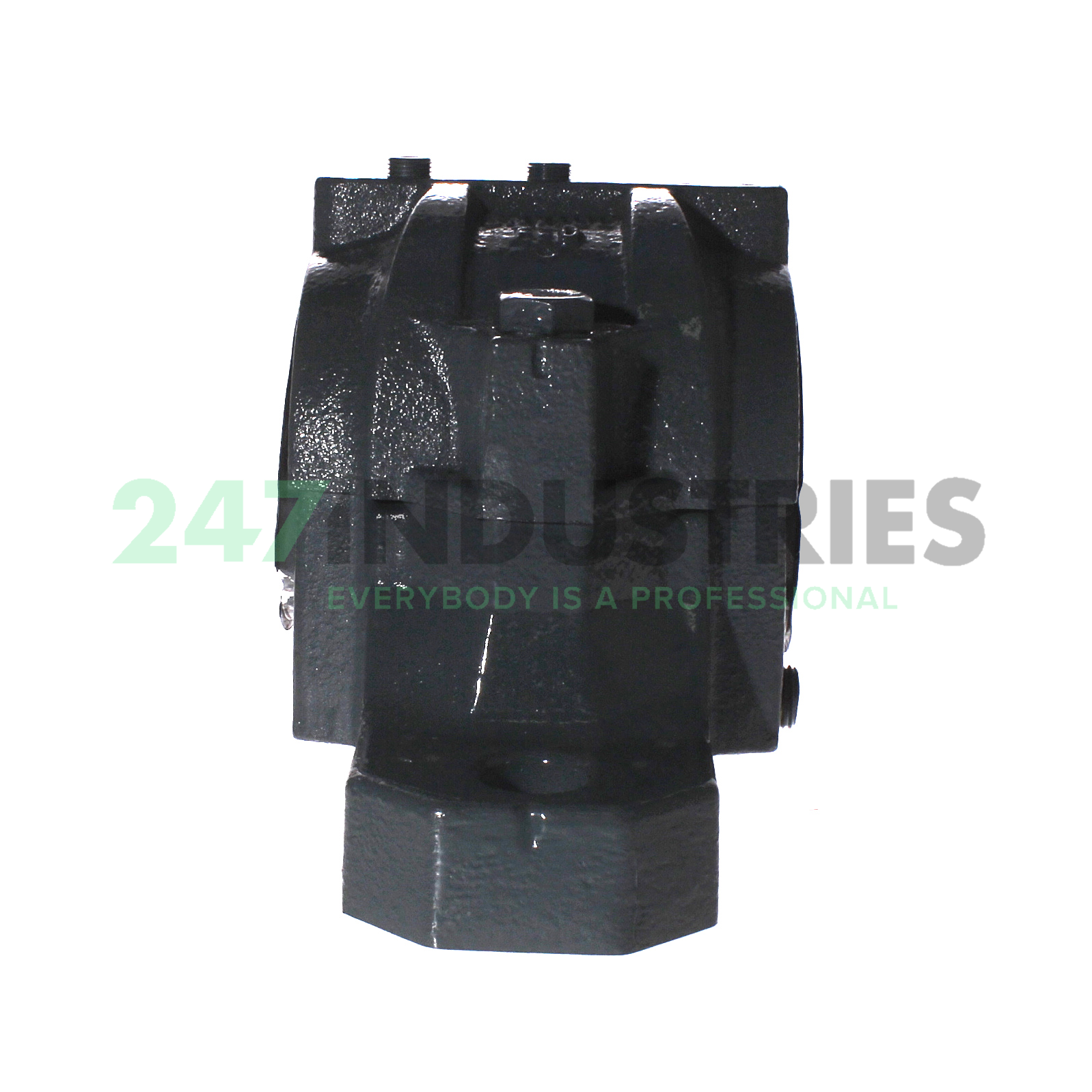 SNV100-F-D FAG Image 2