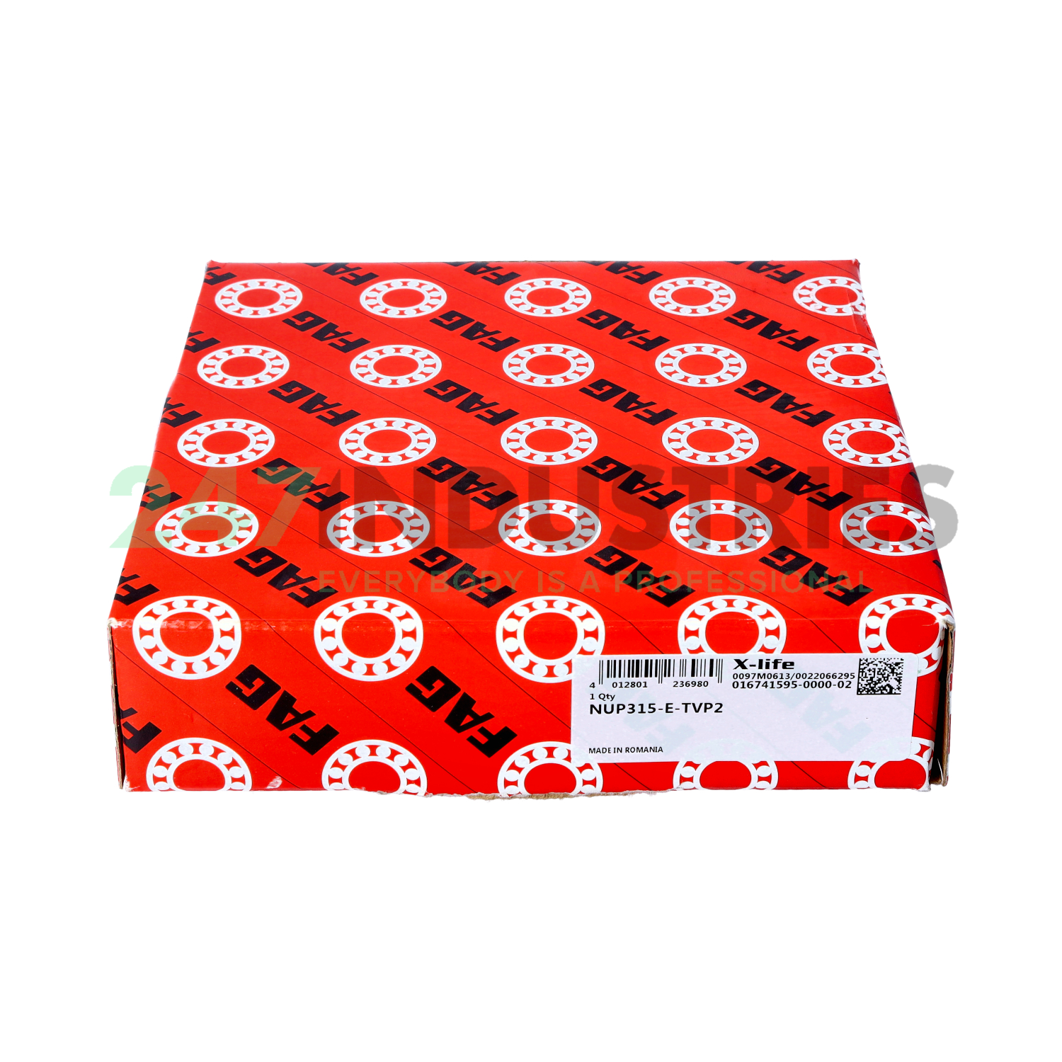 NUP315-E-TVP2 FAG Image 2