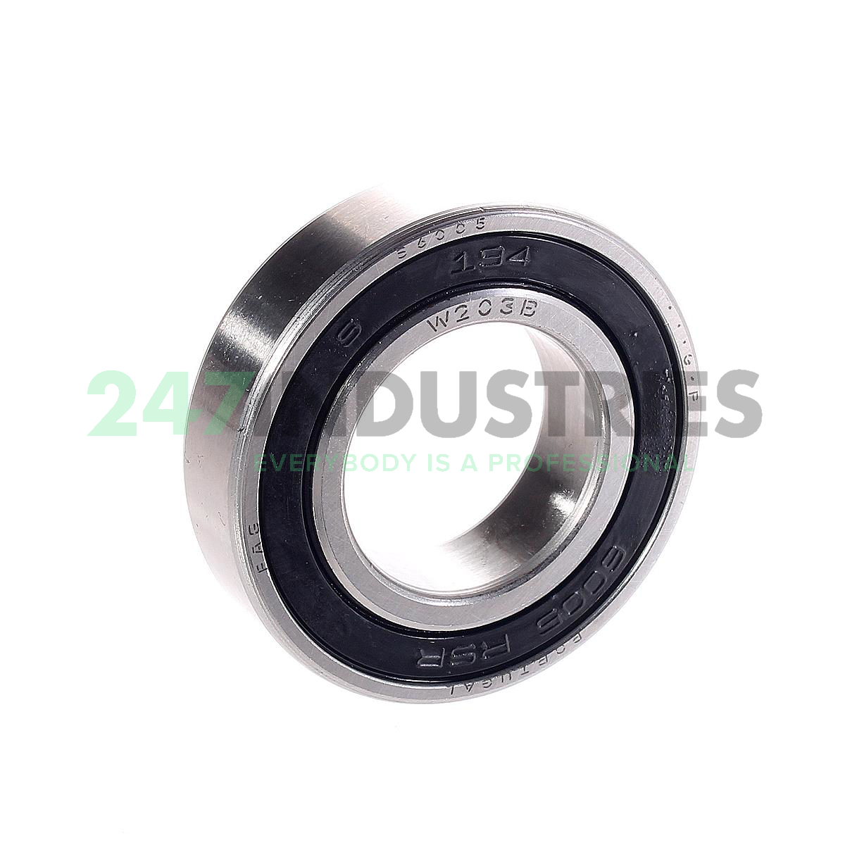 S6005.2RSR.W203B FAG