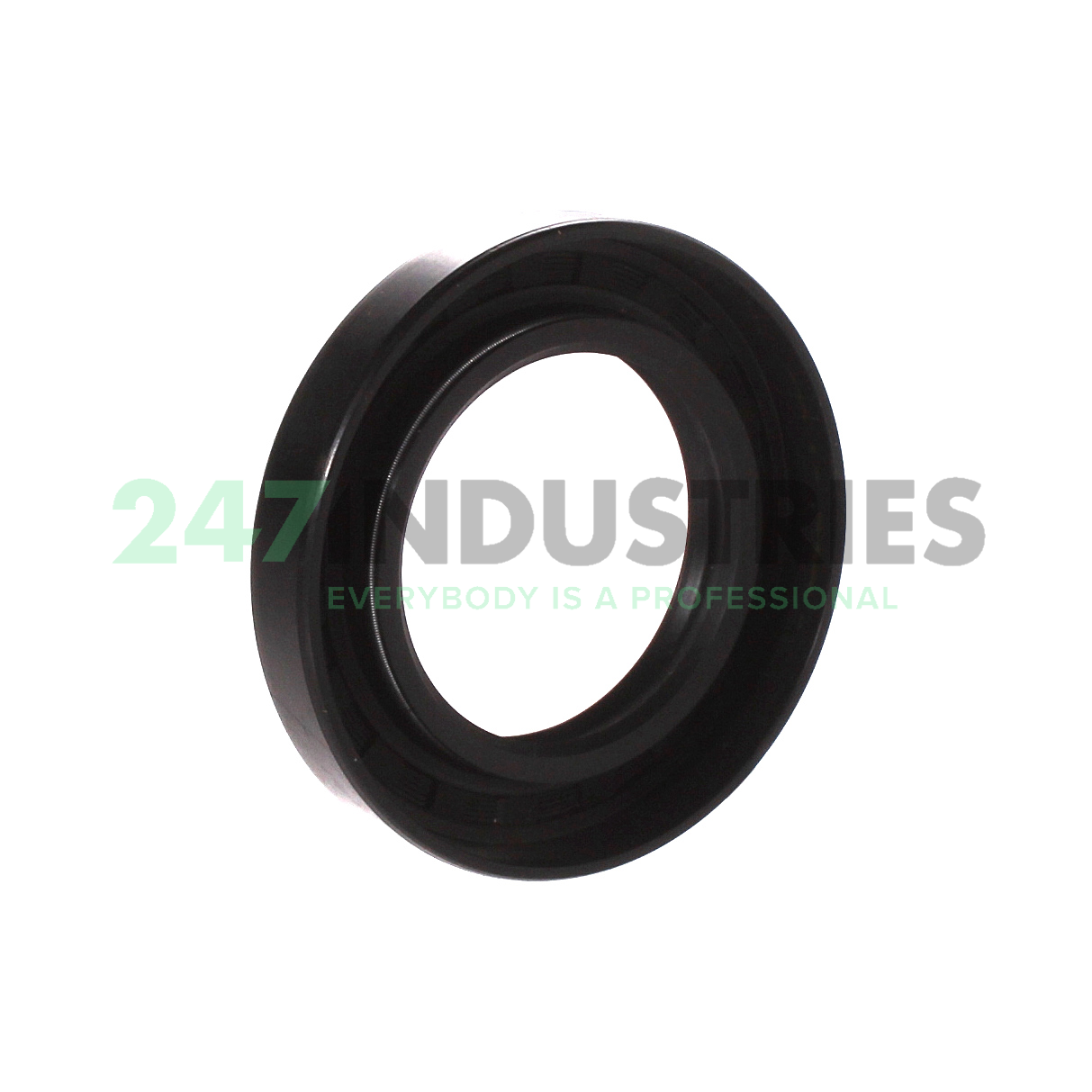 TC3.000X1.875X0.500 Seagull Image 2