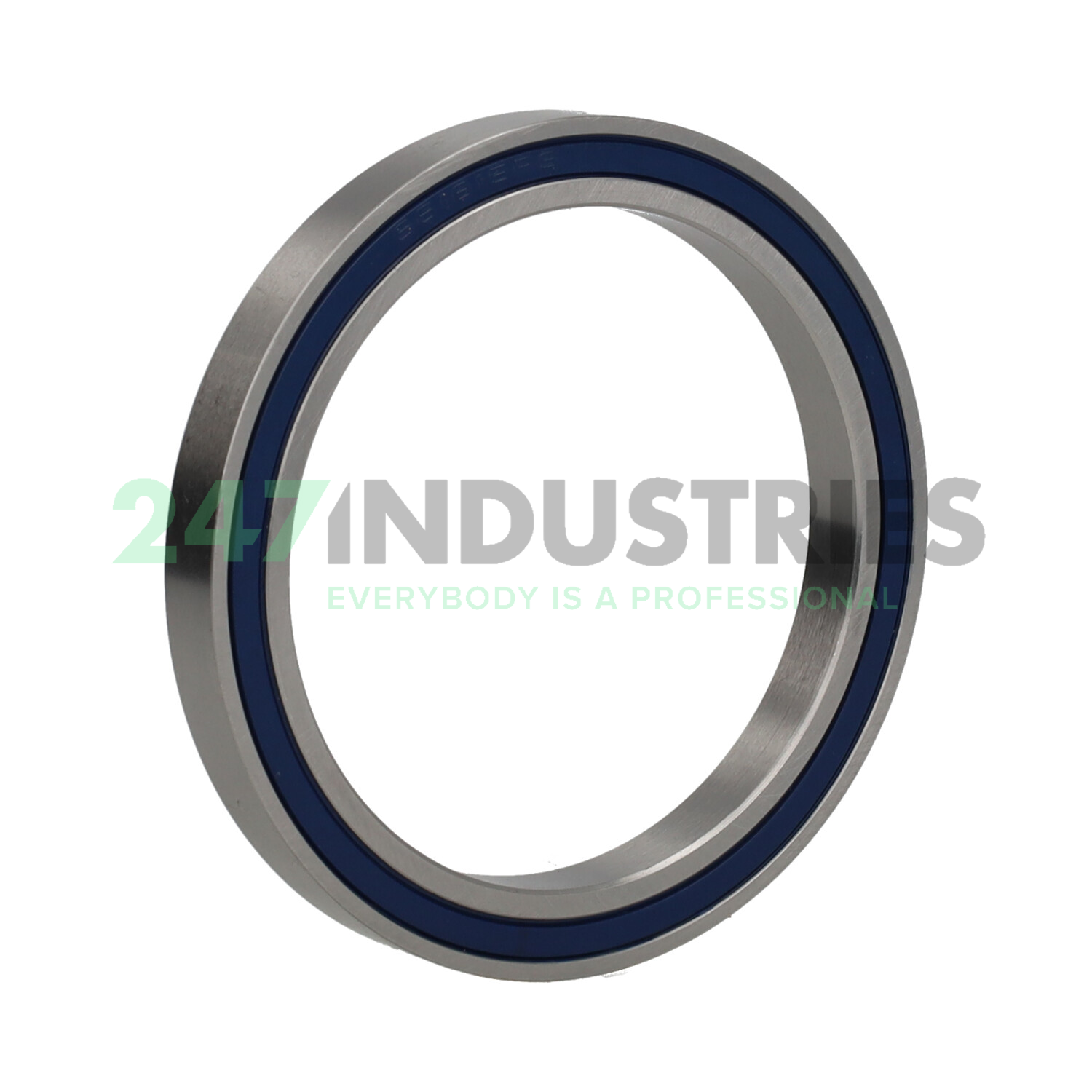 S6815 2RS IBU Fiedler Image 2