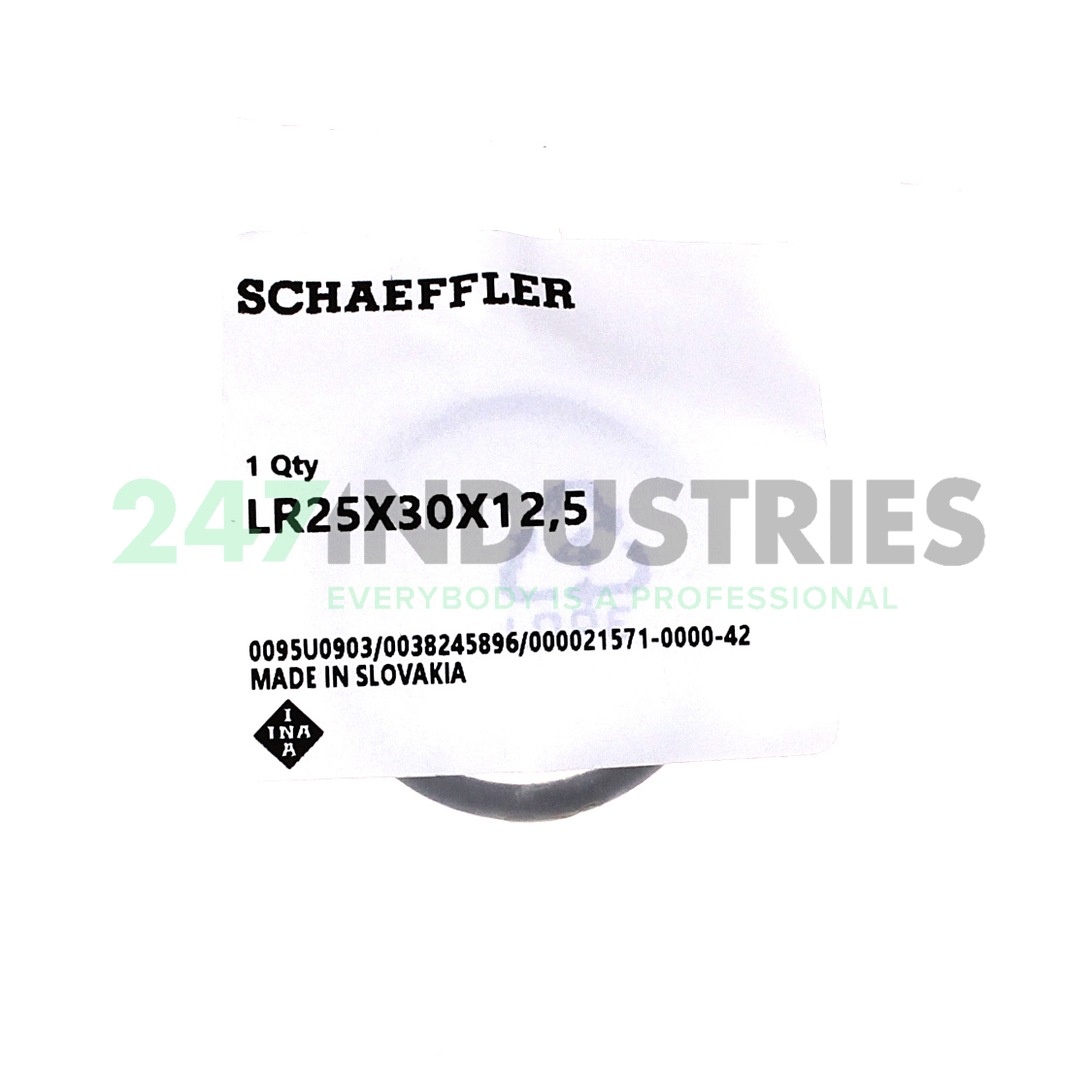 LR25X30X12,5 INA Image 2