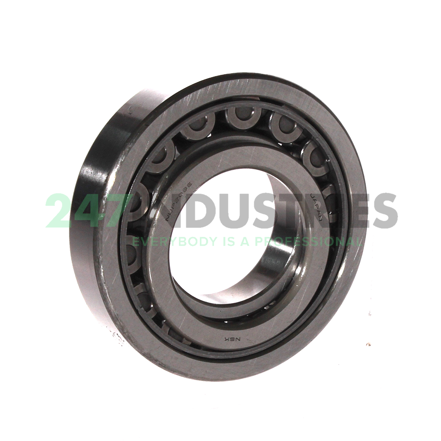 NUP208EW NSK Image 2