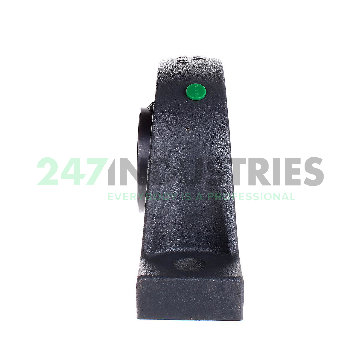 PASEY60-N INA Image 2