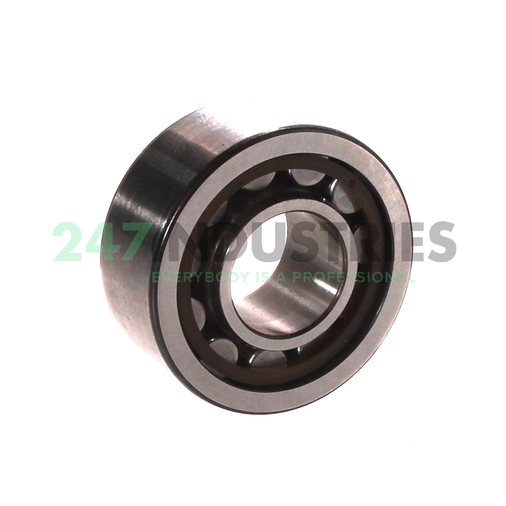 NU2203ECP SKF Image 2