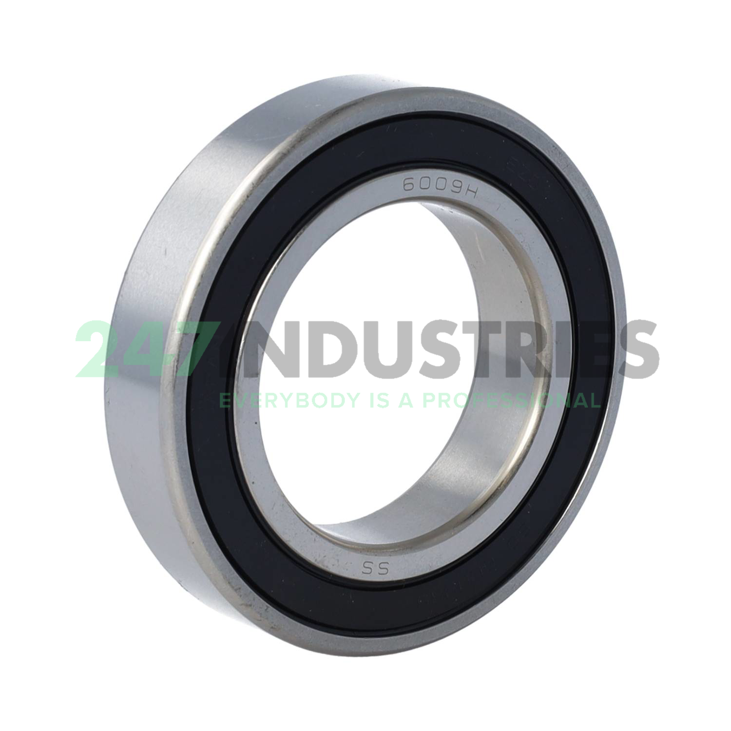 6009 2RS VA EZO Image 1