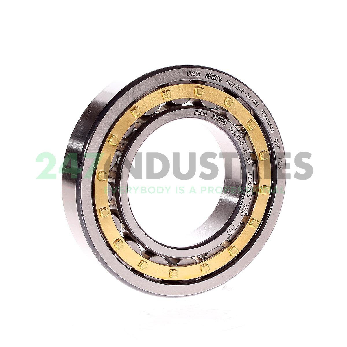 NU213-E-XL-M1 FAG