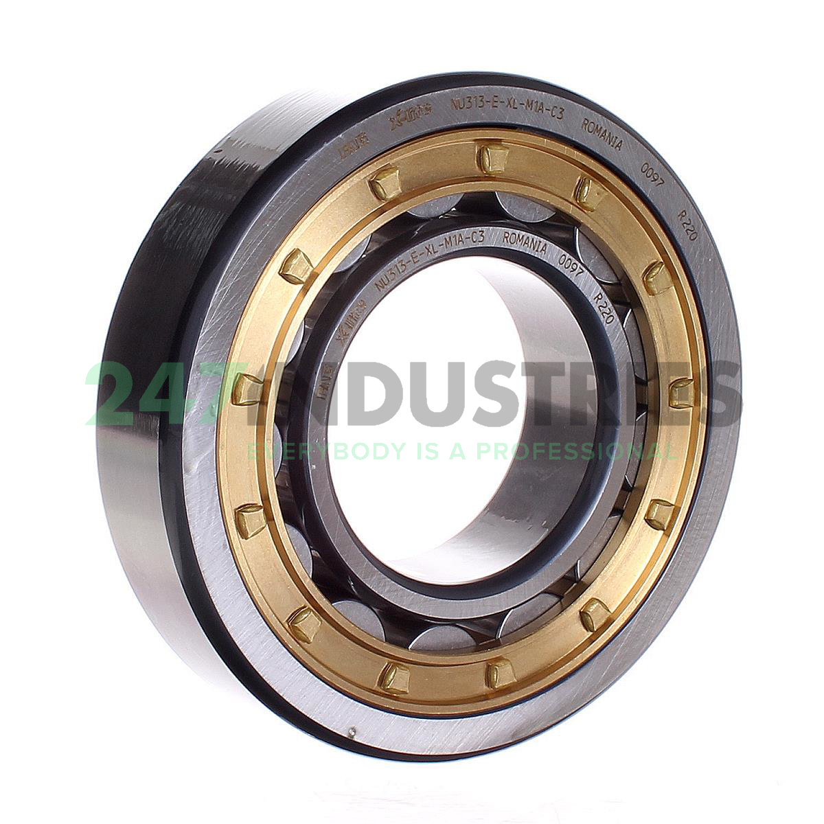 NU313-E-XL-M1A-C3 FAG