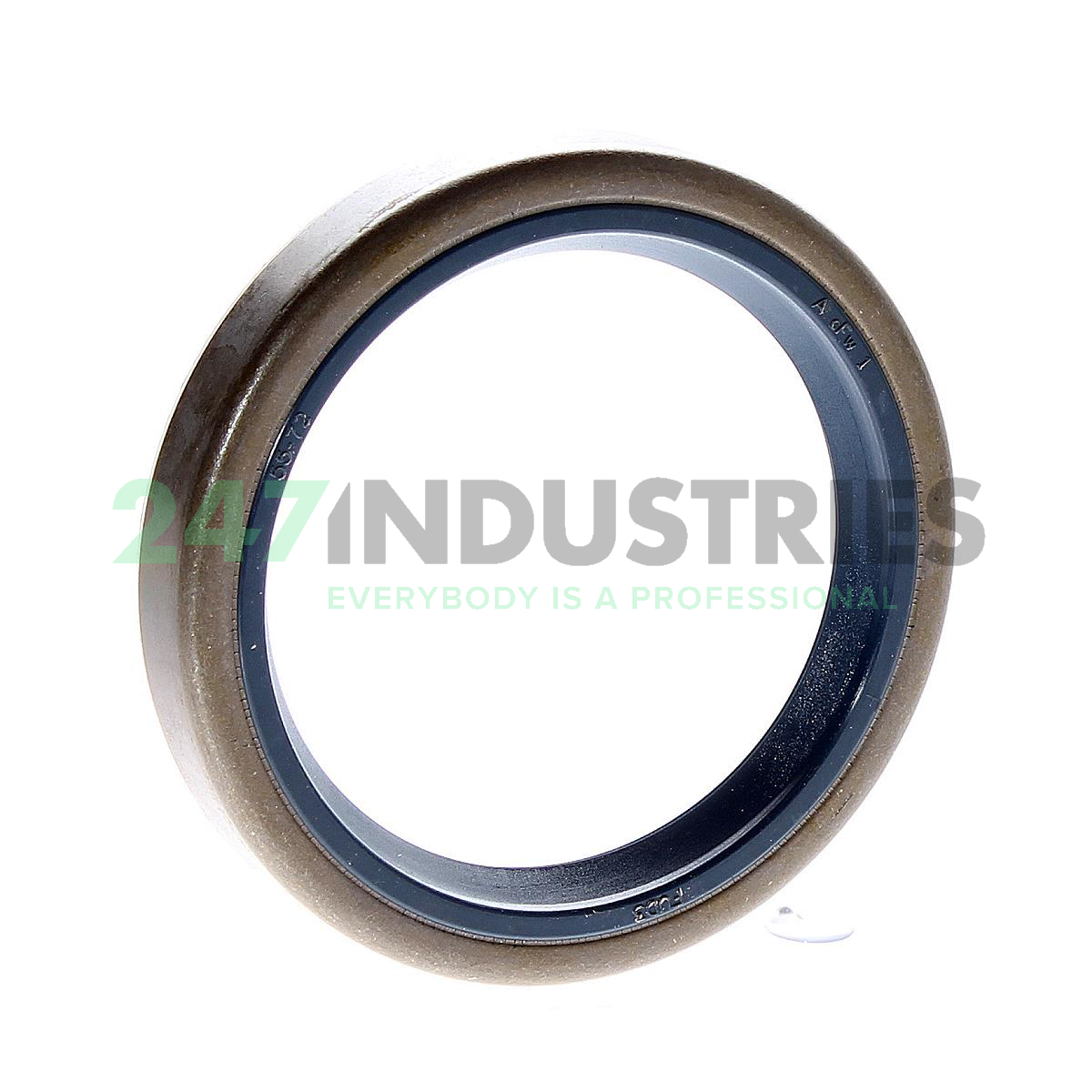 CR55X72X12CRS12R SKF