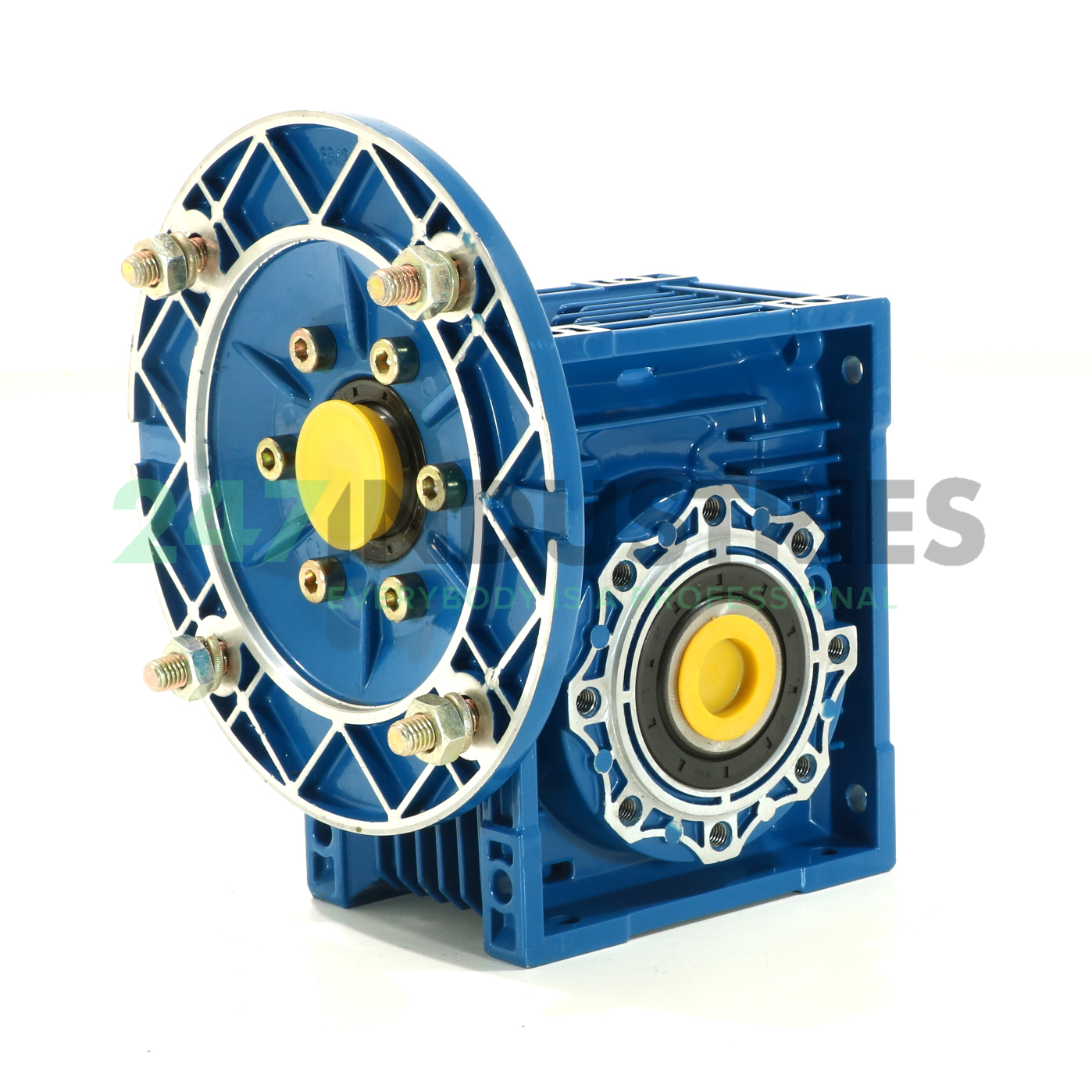 CMRV63-80B5I100 Cemer Image 1