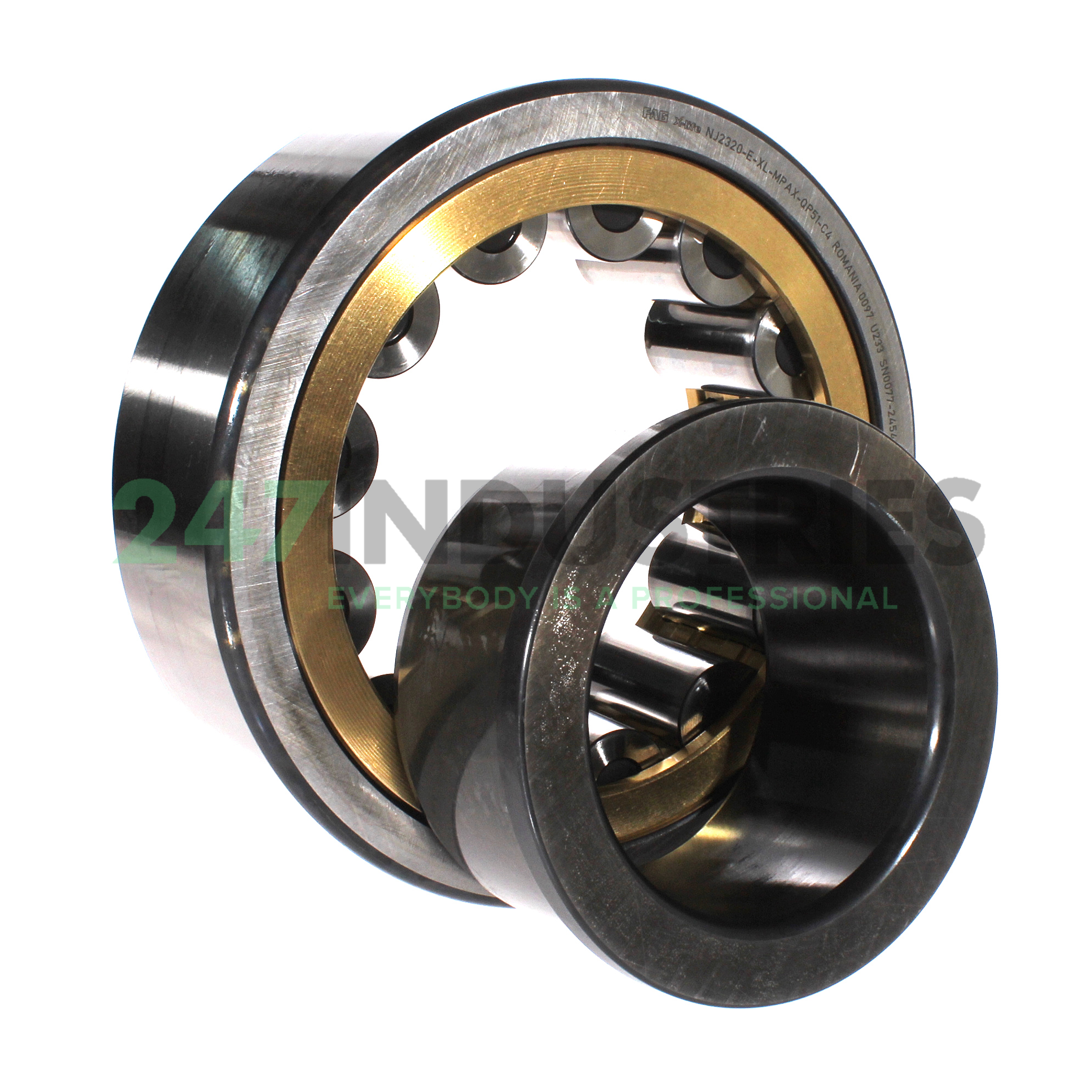 NJ2320-E-XL-MPAX-QP51-C4 FAG Image 2