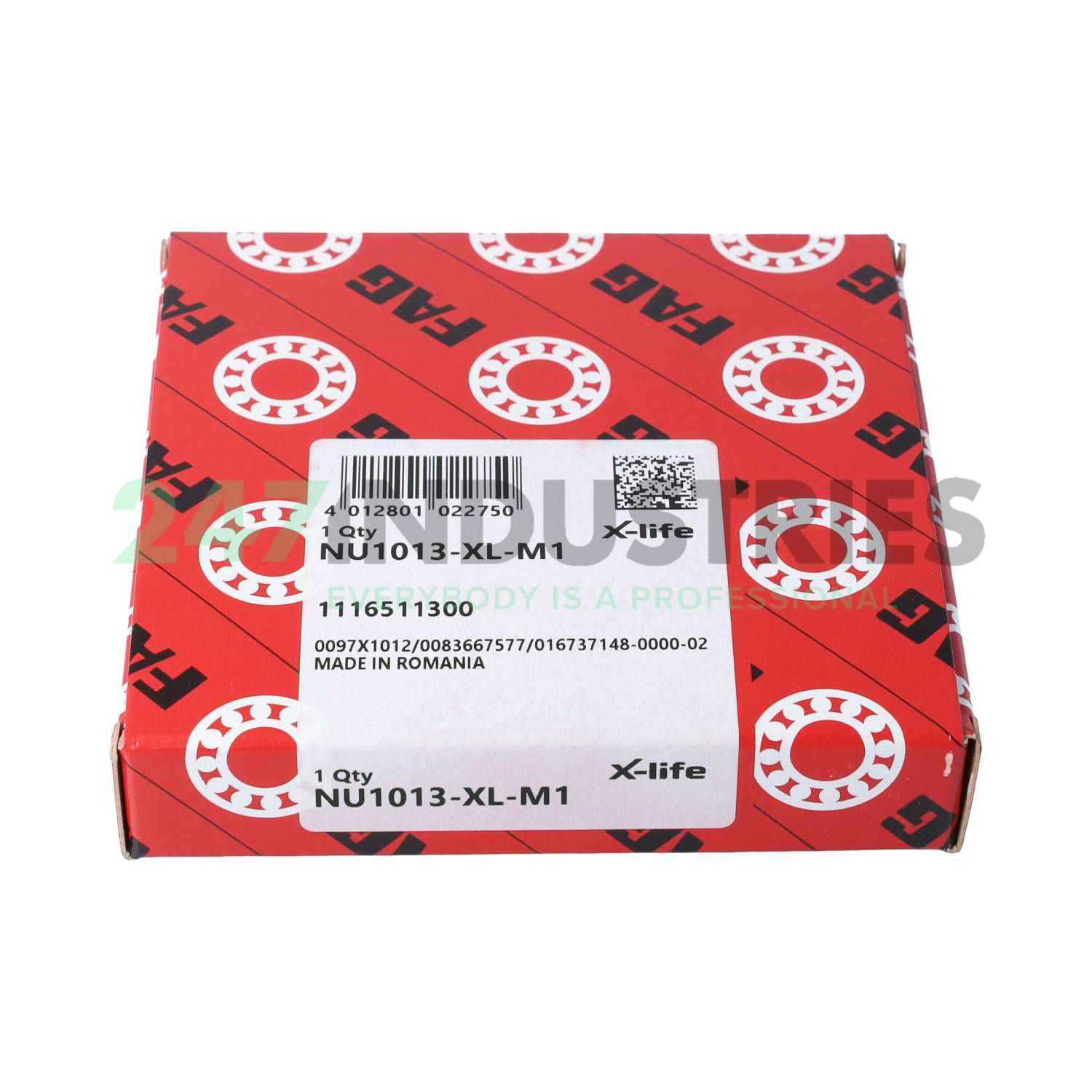 NU1013-XL-M1 FAG Image 4