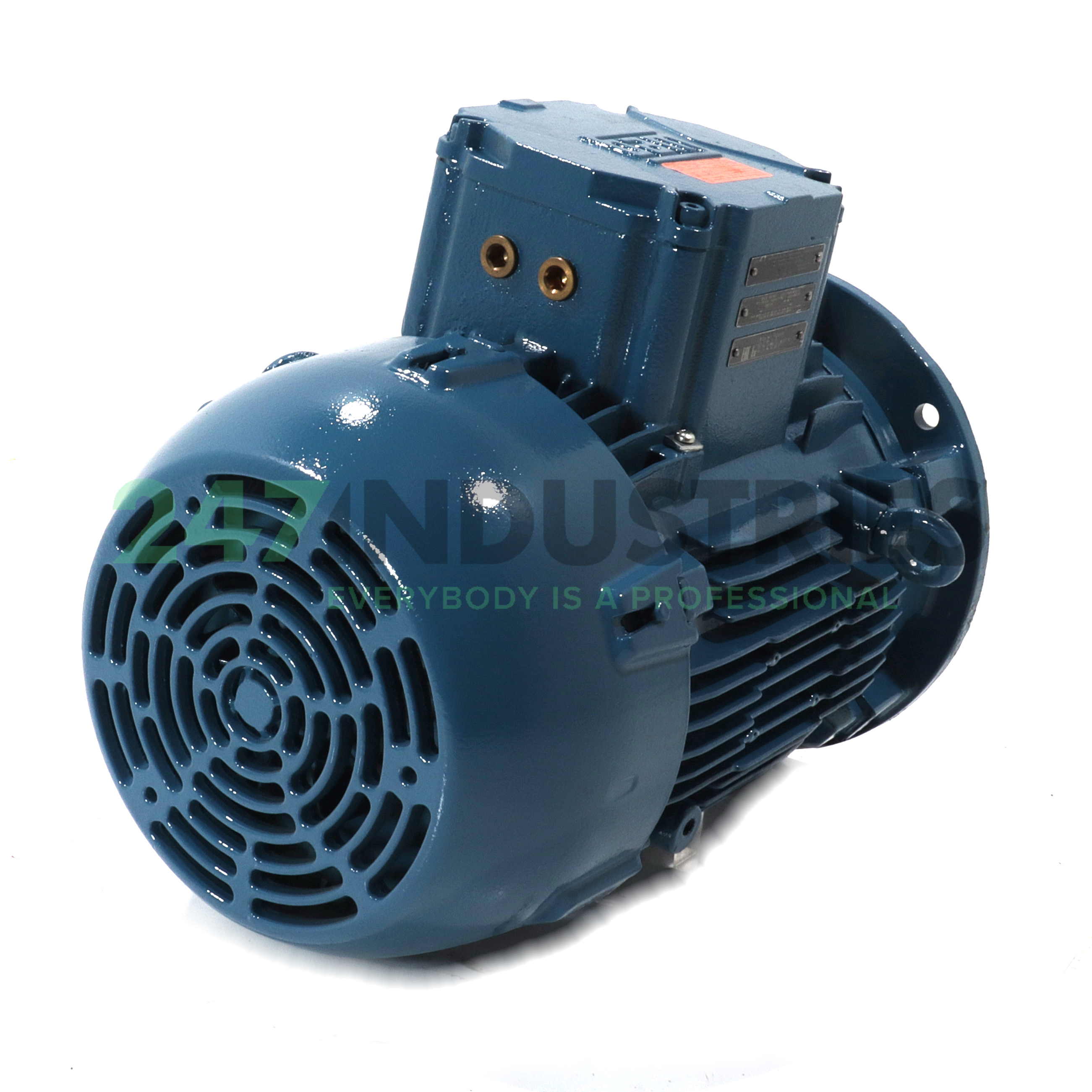 5.5K32CI2132SM2B52G WEG Image 3