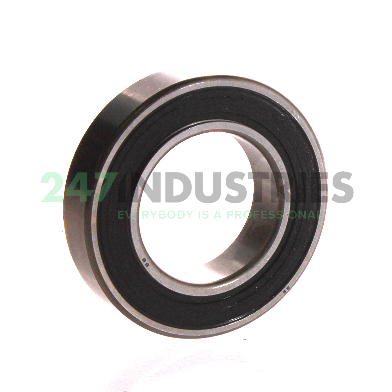 S.6007.2RS SNR Image 2