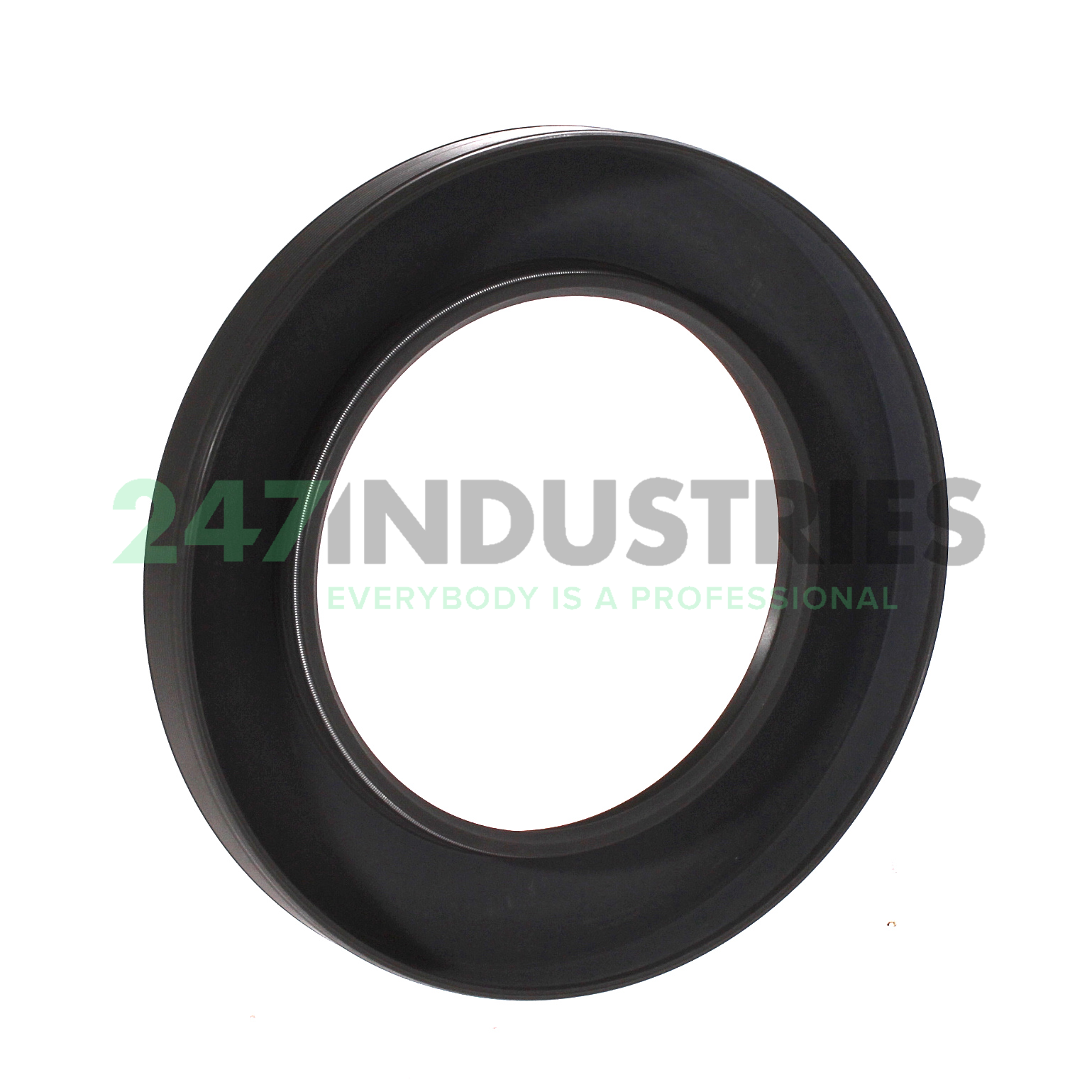 80X125X13HMSA10RG SKF Image 2