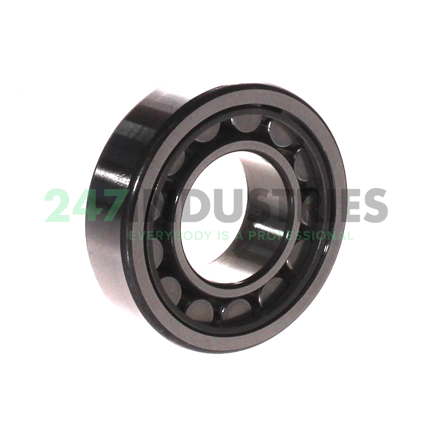 NU205-E-XL-JP3 FAG Image 2