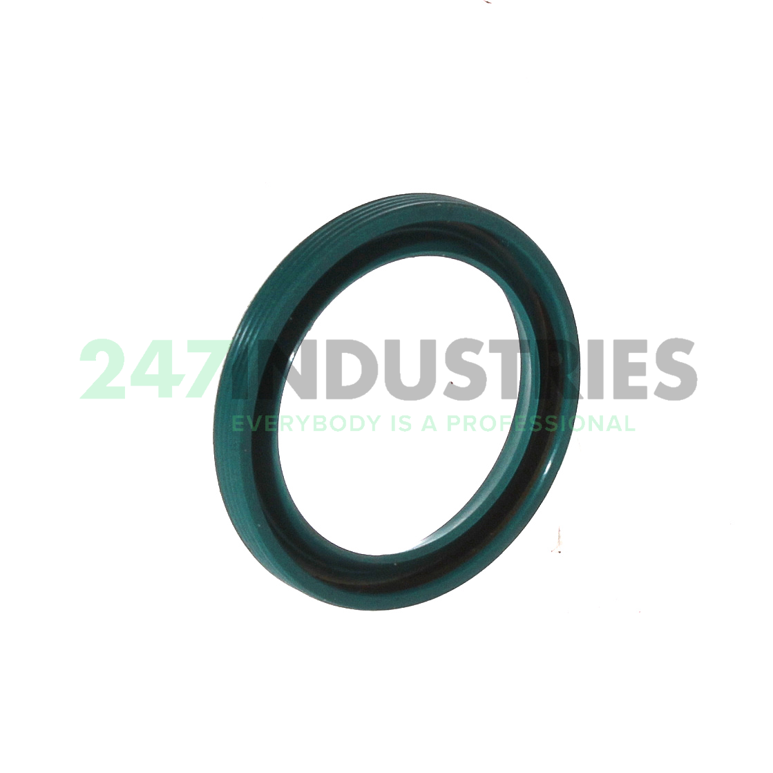 VG25X33X4 NAK Sealing Technologies Image 2