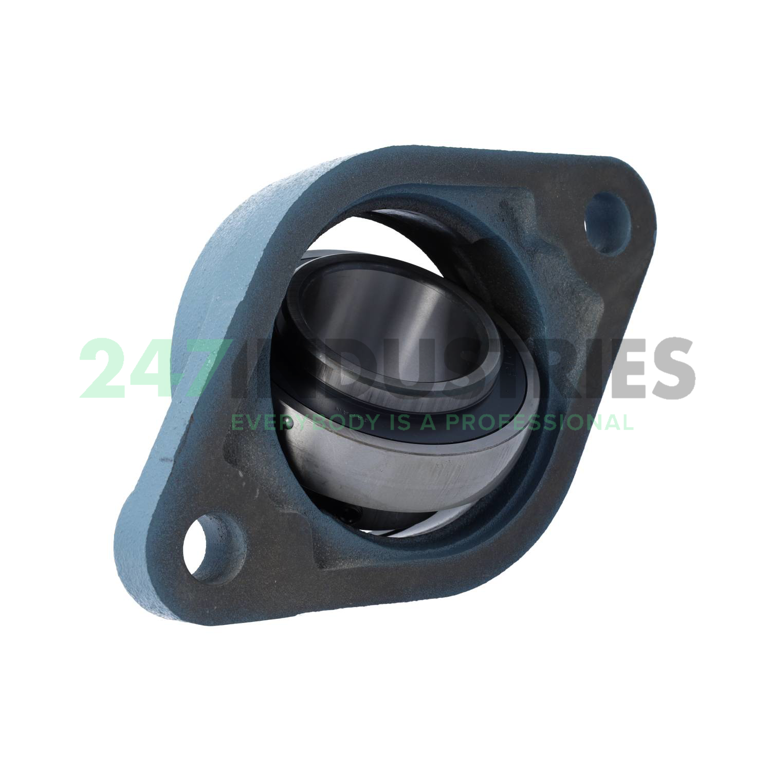 UCFL213 Asahi Image 3